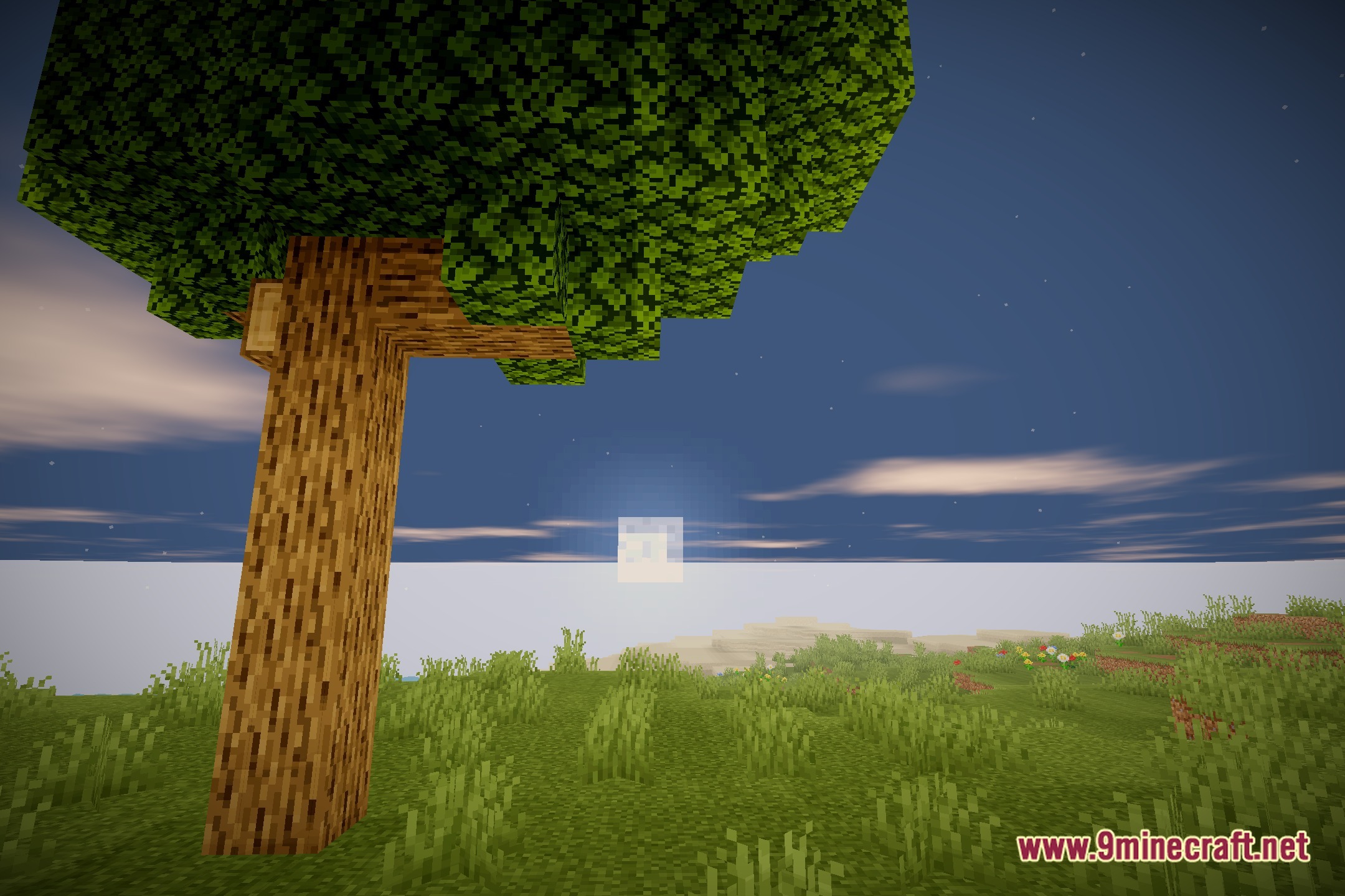 Adi Cinematic Shaders Screenshot 4