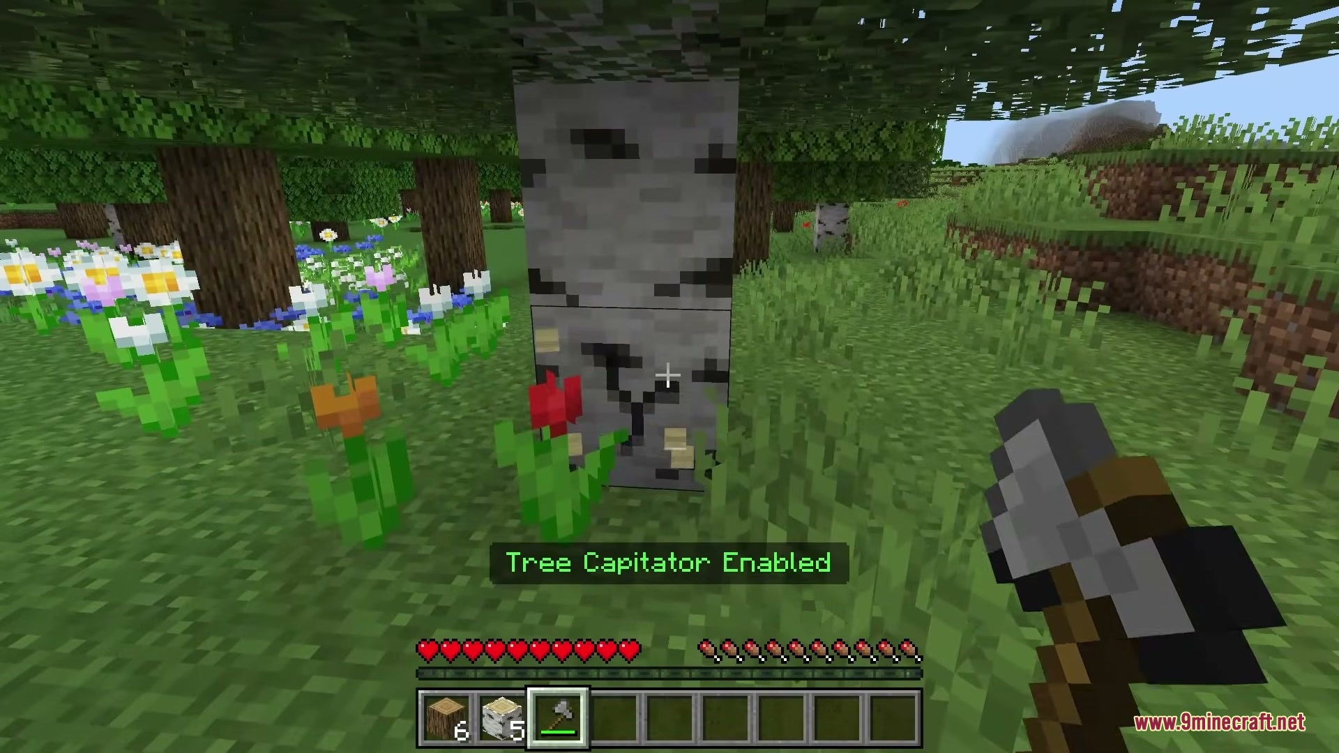 Advanced Tree Capitator Addon Screenshot 10