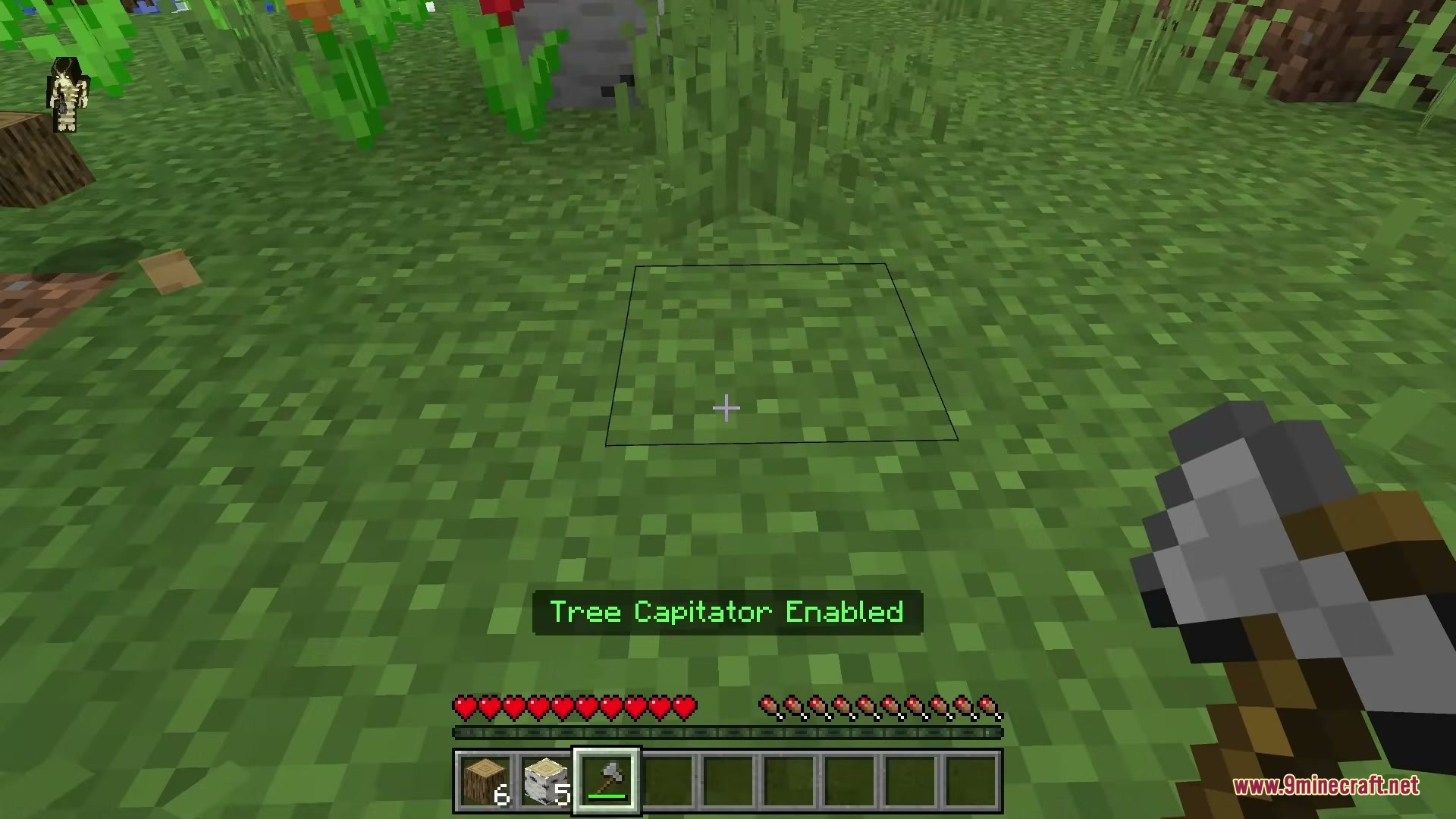 Advanced Tree Capitator Addon Screenshot 4