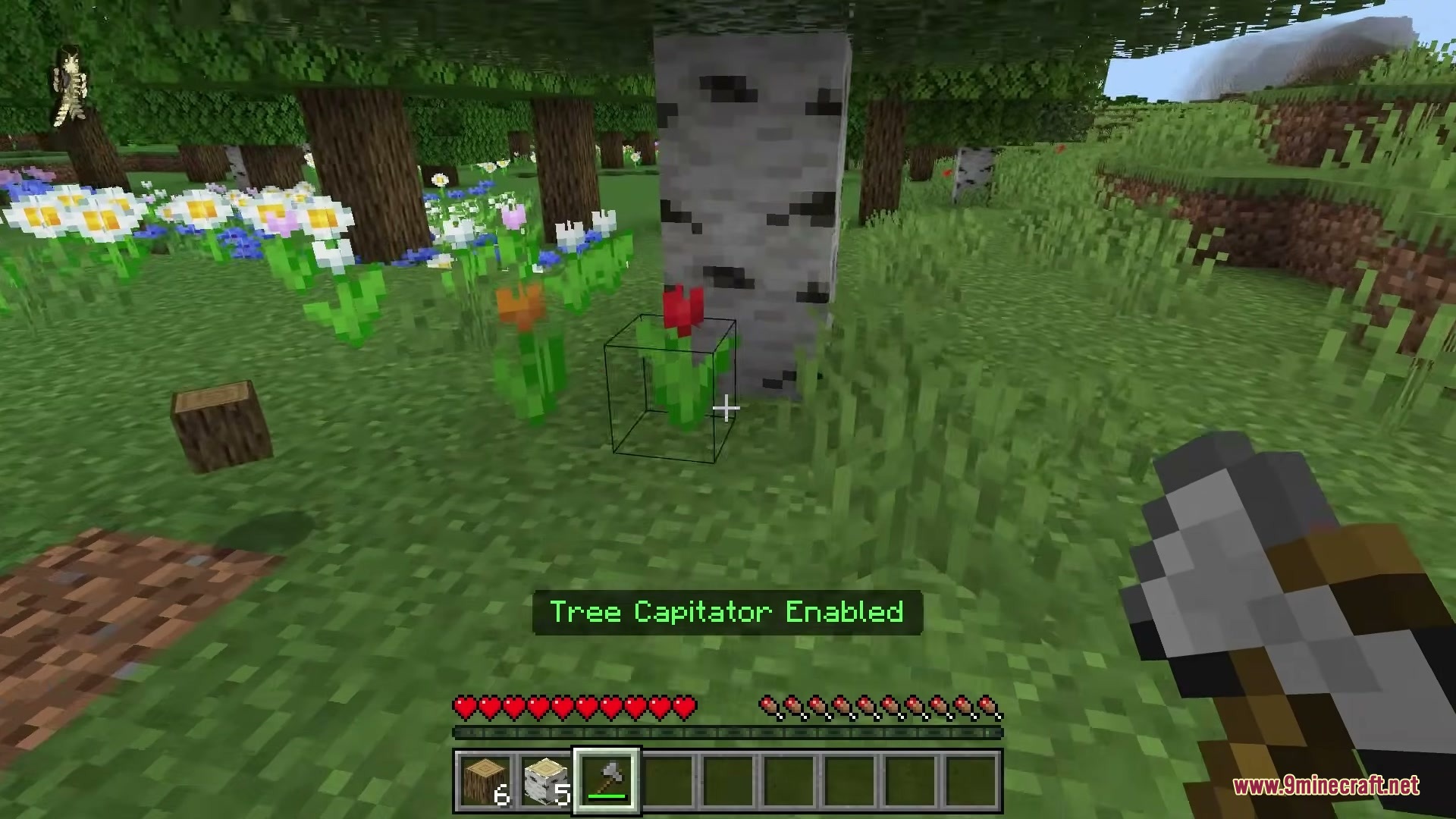 Advanced Tree Capitator Addon Screenshot 9