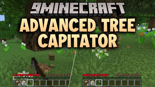 Advanced Tree Capitator Addon (26.x) - Chop Down Entire Trees with One Strike