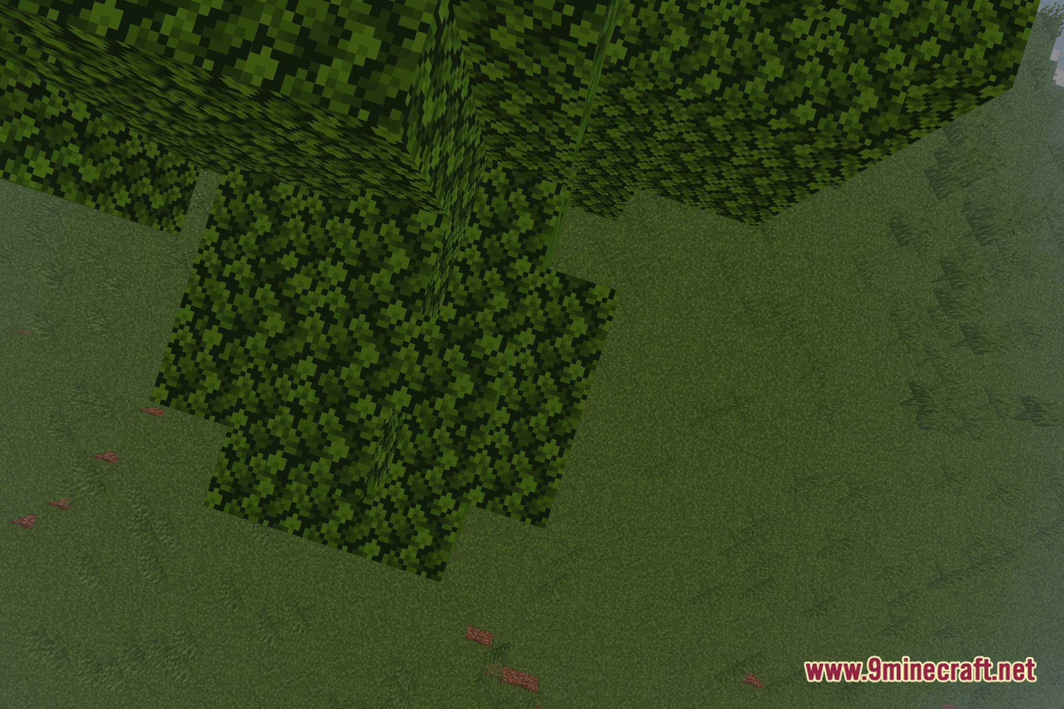 AmberVeil Shaders Screenshot 7