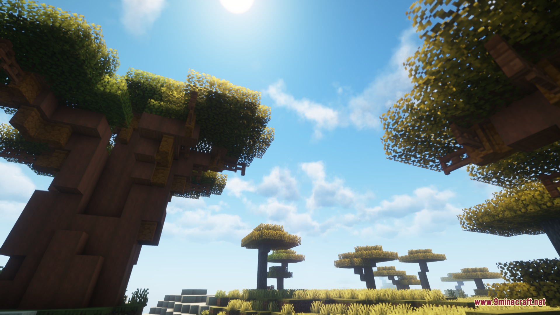 Ancient Domain Sprawl Mod Screenshot 4 Tall custom trees with thick trunks grow across a sunny savanna biome