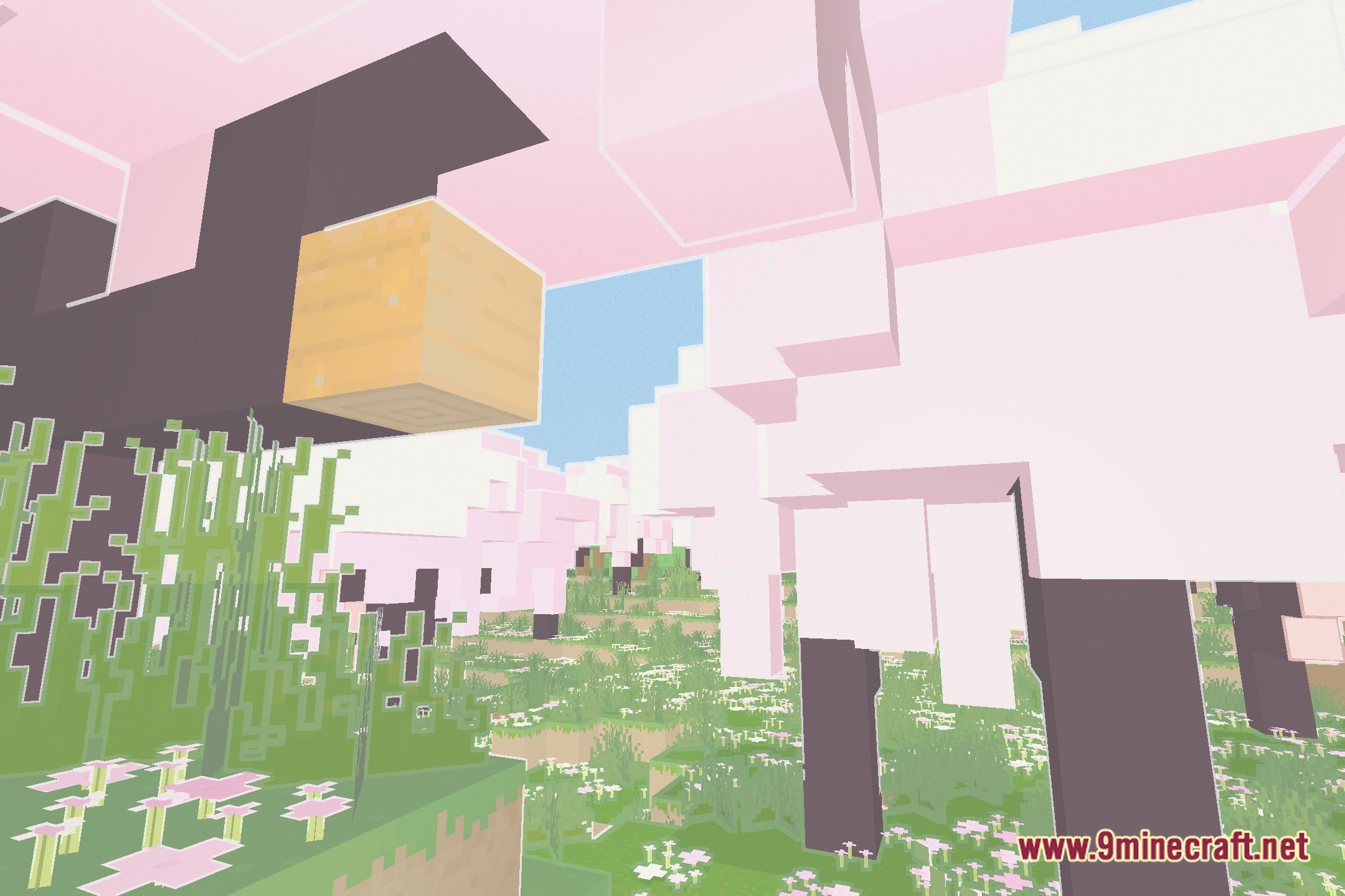 Animtr Shaders Screenshot 1