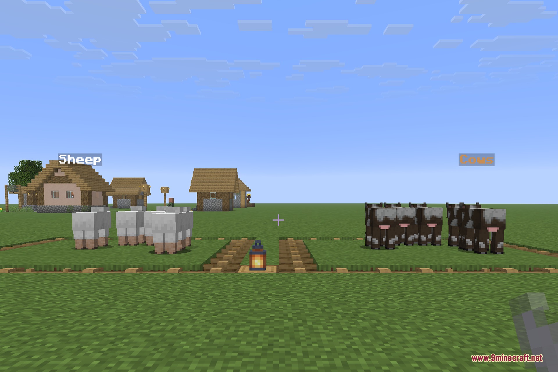 Two animal pens labelled Cows and Sheep