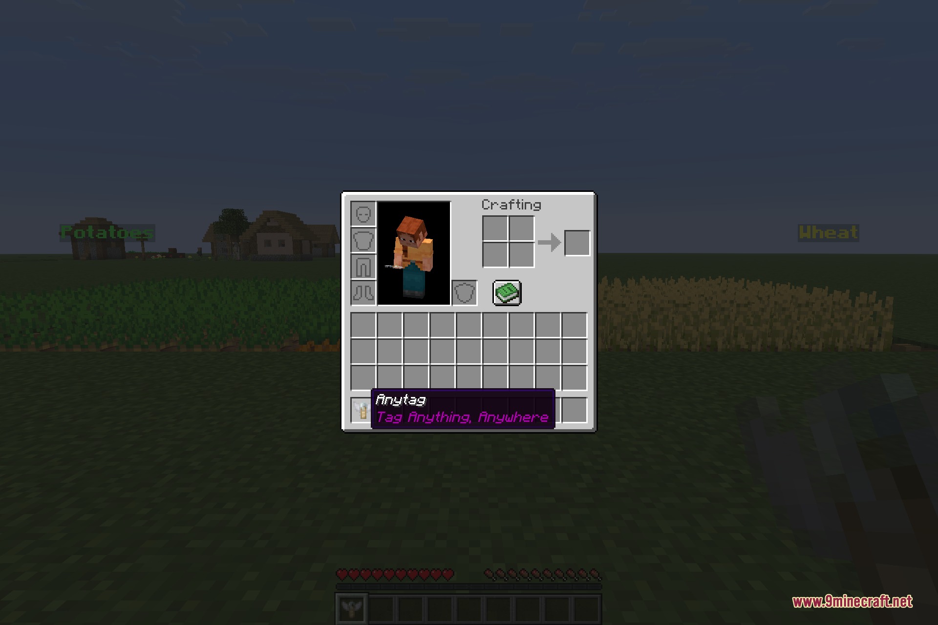 The Anytag item tooltip showing its name and description
