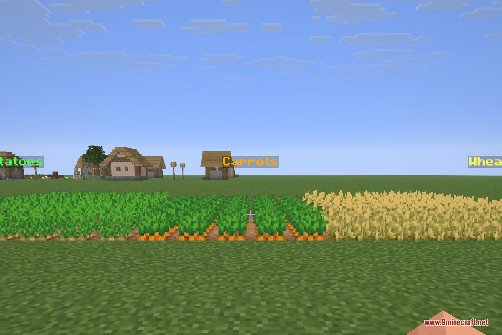 Three crop beds labelled Wheat, Carrots and Potatoes