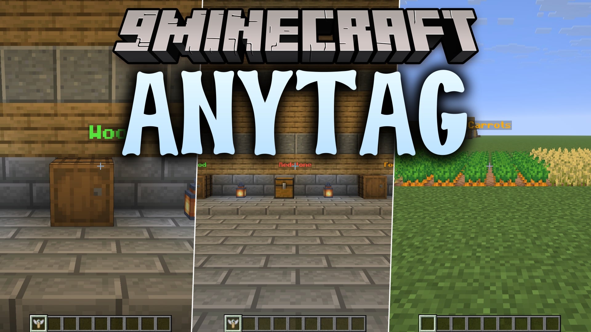 Anytag 9minecraft Mod
