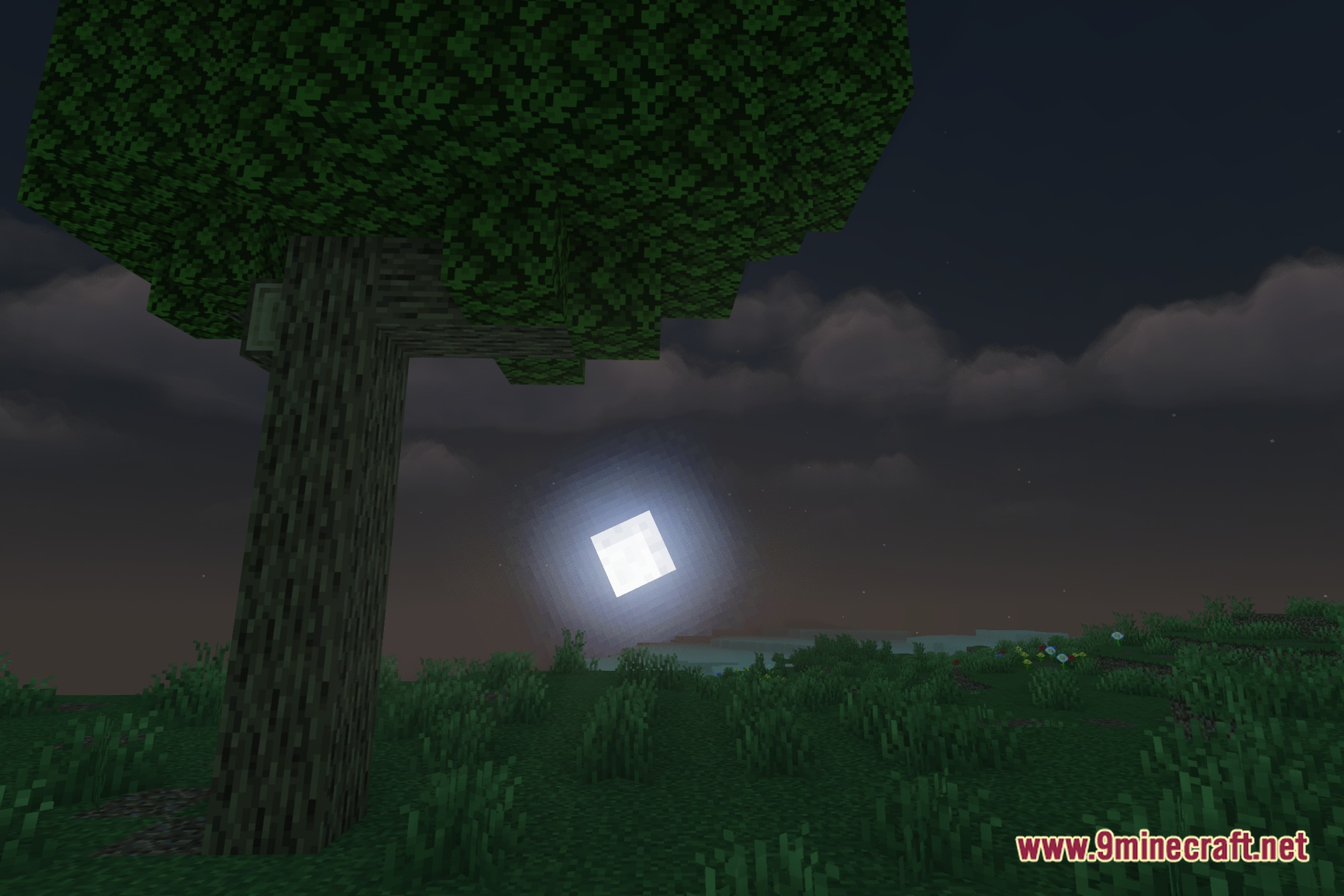 Aquareal Shaders Screenshot 4