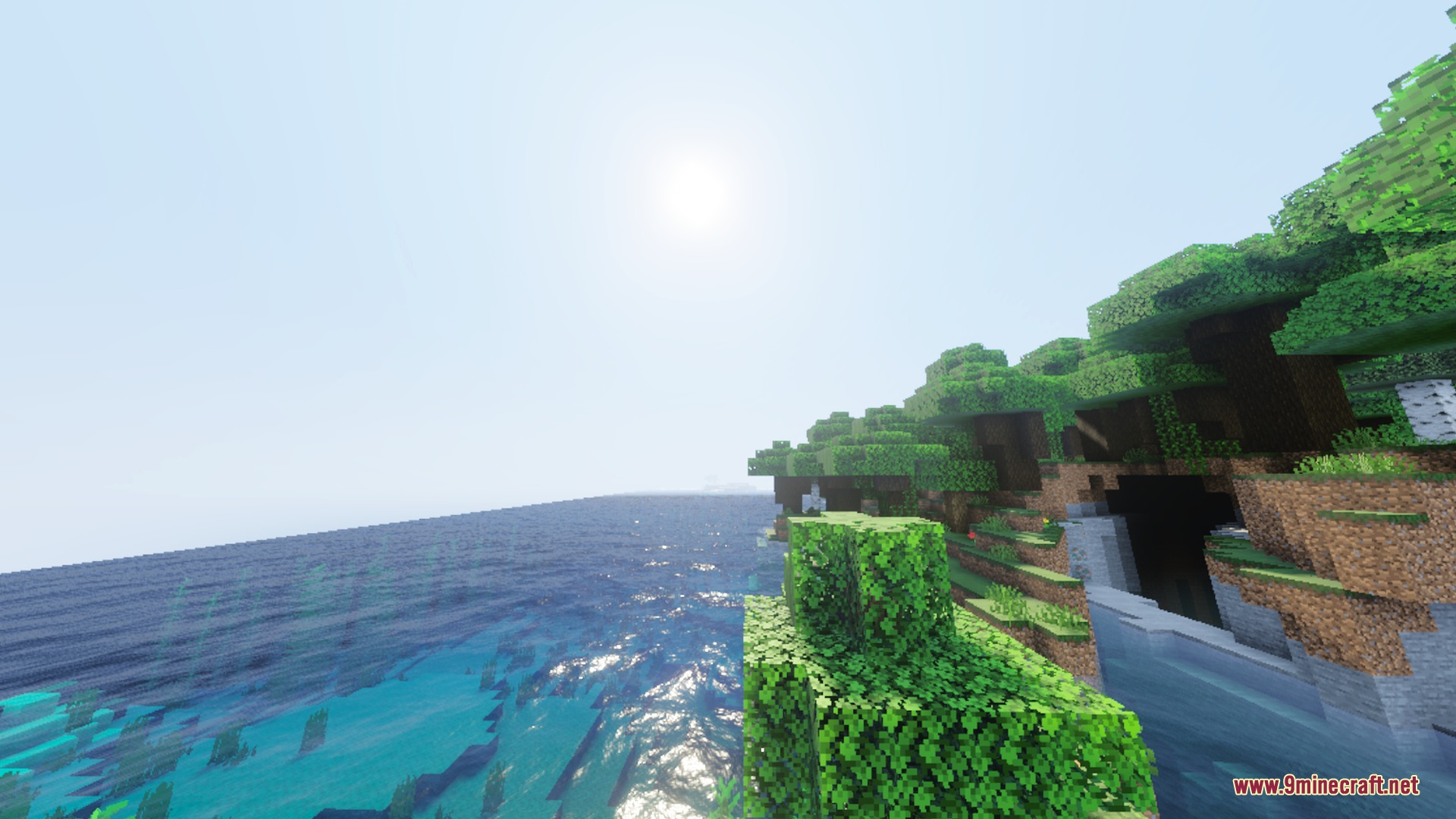 Bright sunlight shines over a lush cliffside forest and shimmering blue ocean water