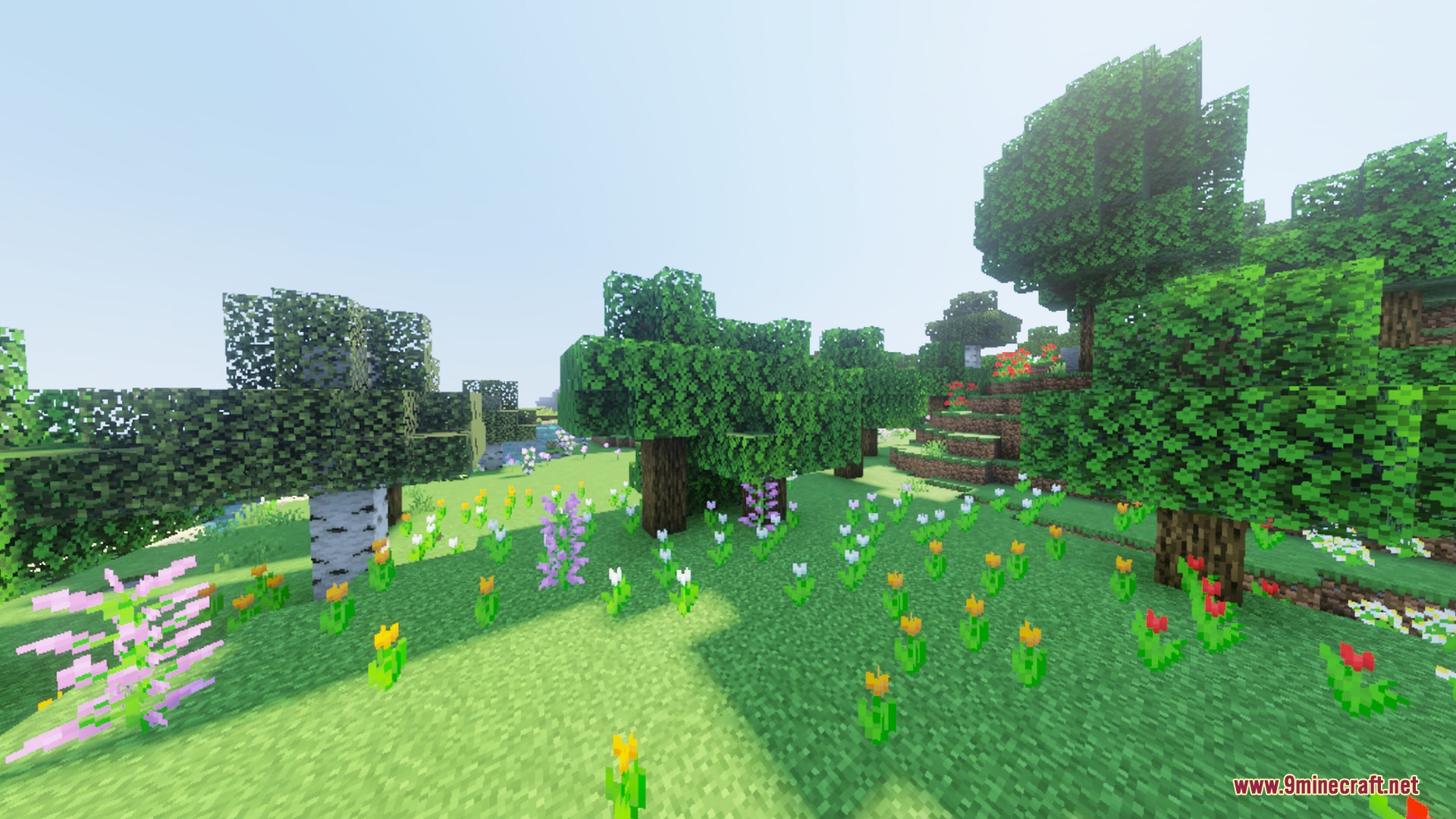 A lush flower forest with colorful tulips and vibrant green oak trees