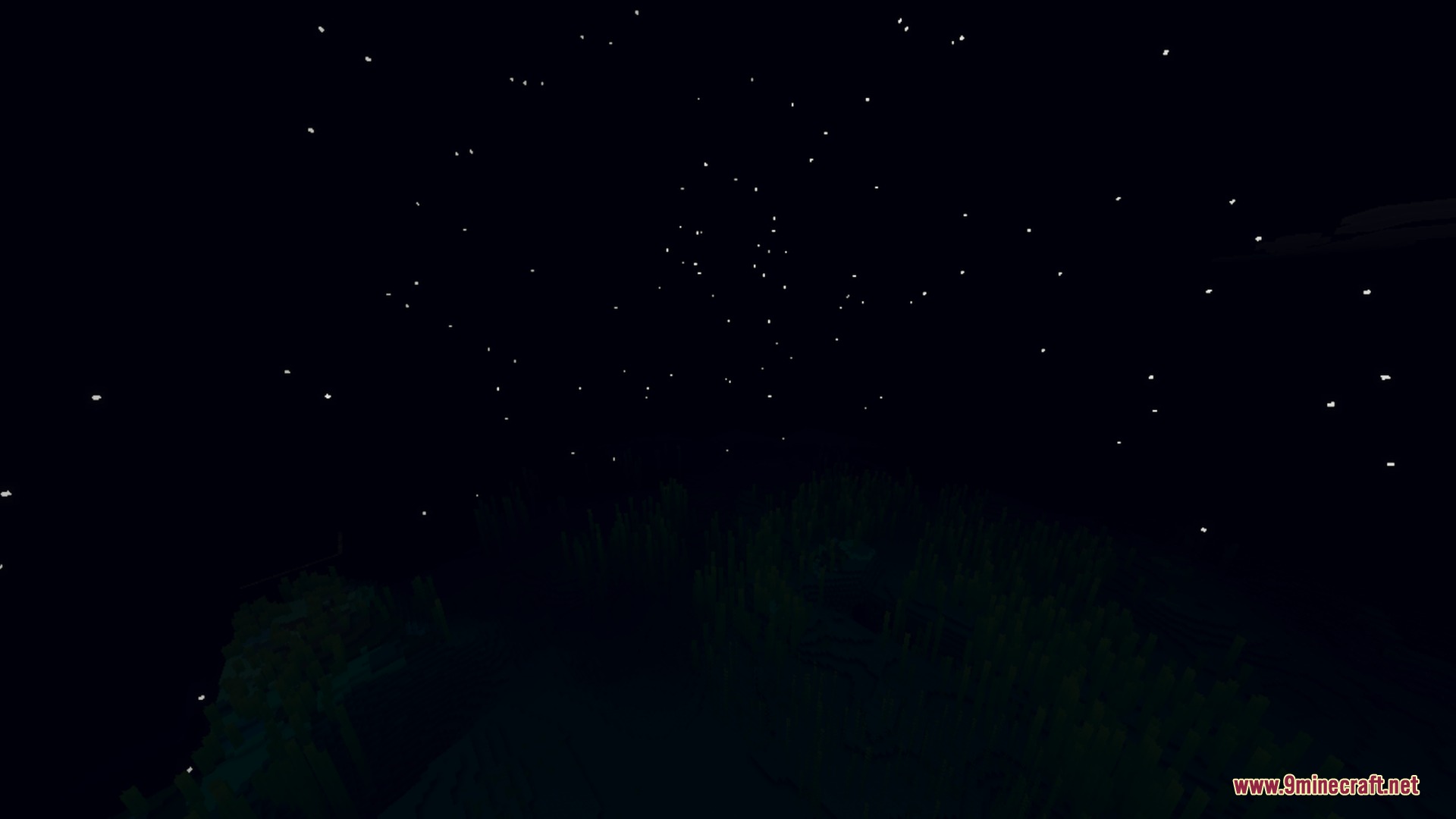 A dark night sky filled with numerous bright stars in a Minecraft world