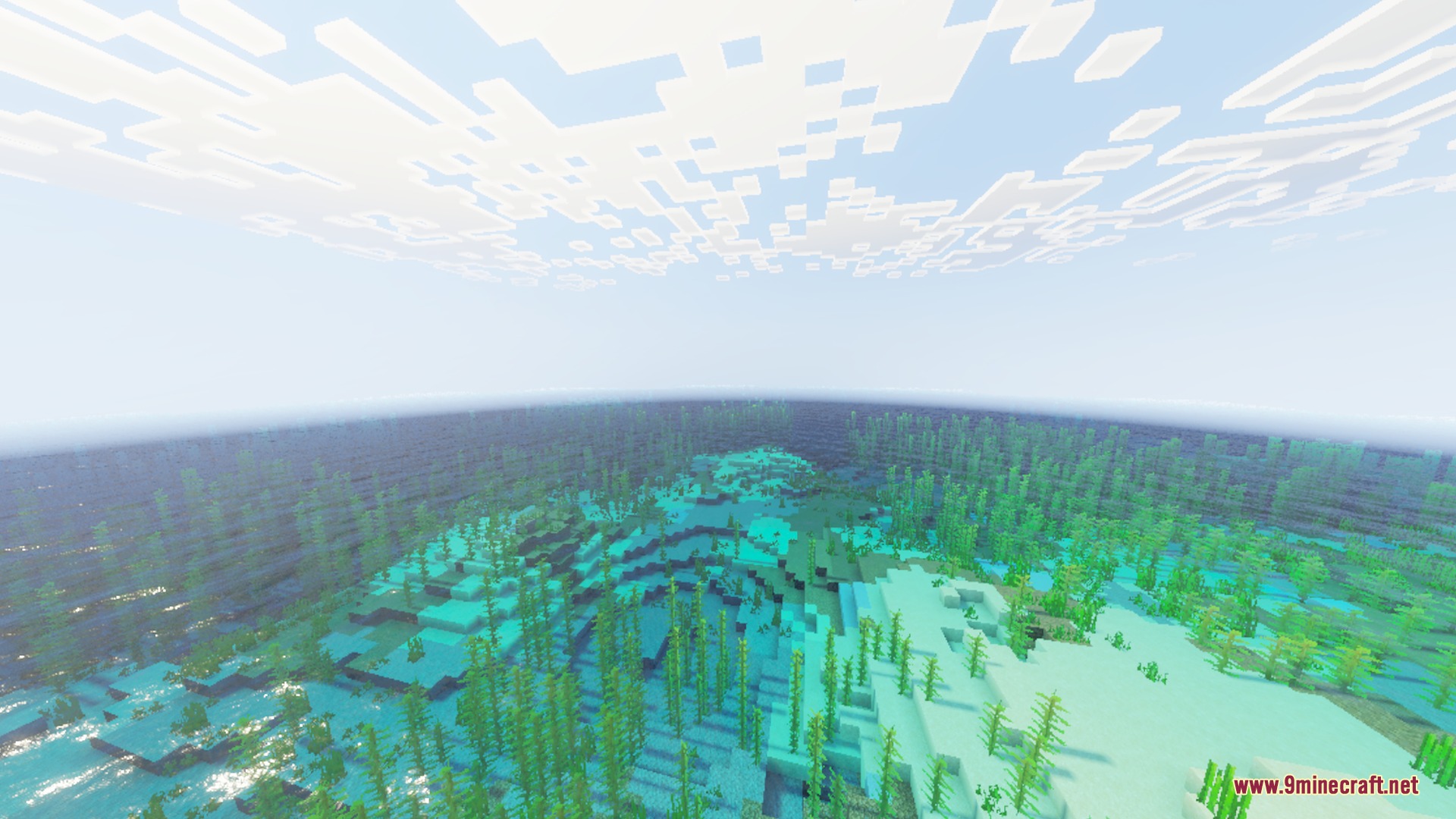 Bright underwater view of an ocean biome with tall green kelp