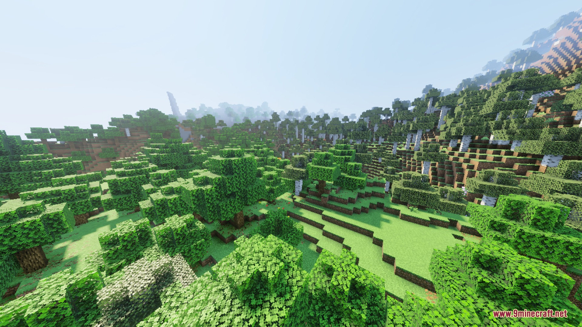 Lush forest landscape with realistic shadows and bright illumination on the terrain