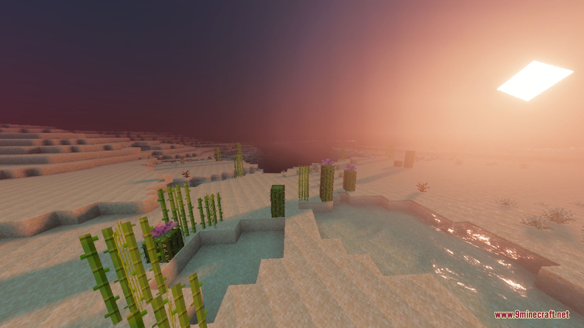 A desert landscape with cacti and sugar cane under a warm sunset
