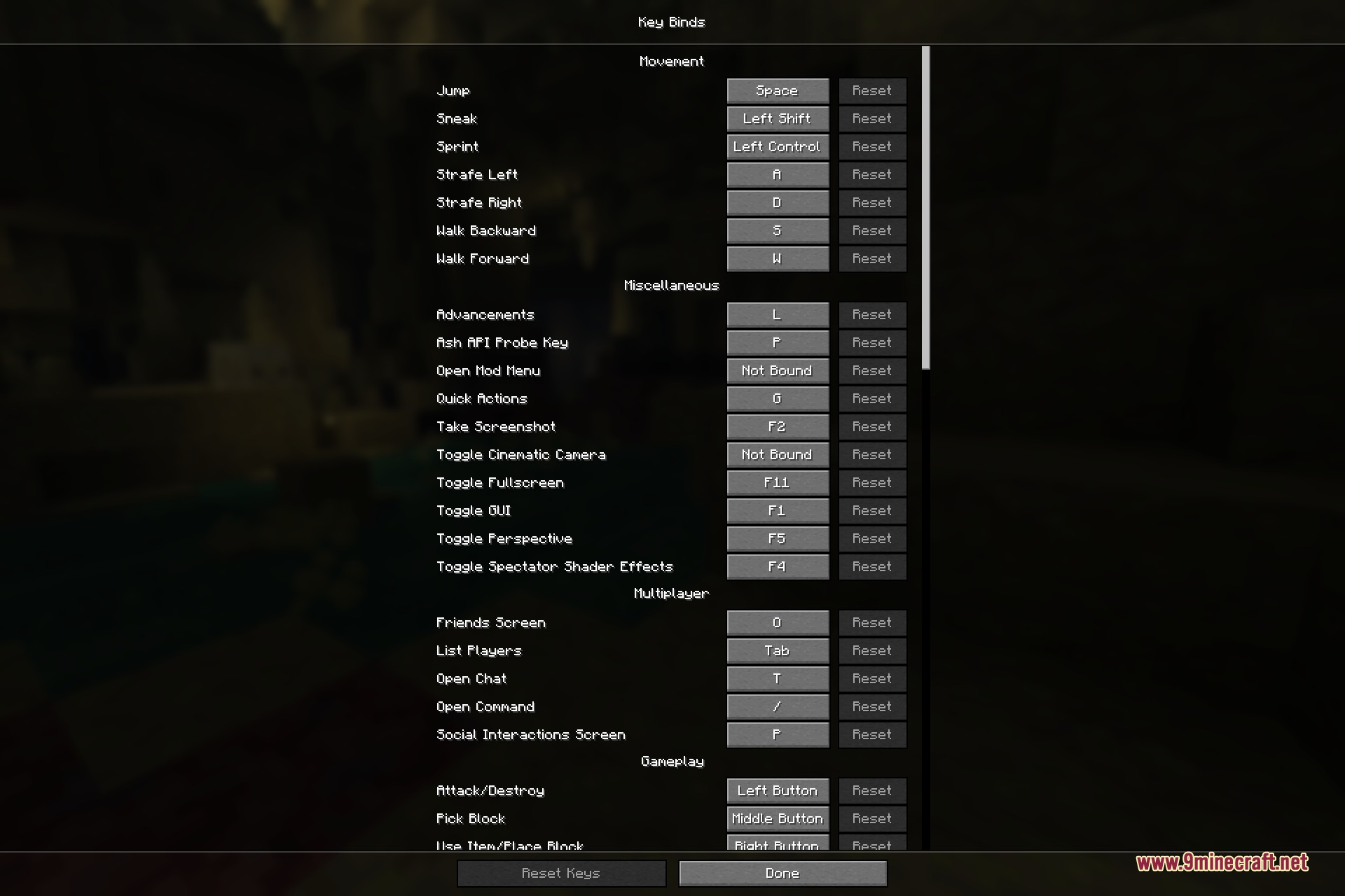 Minecraft key binds menu showing control settings for movement and gameplay