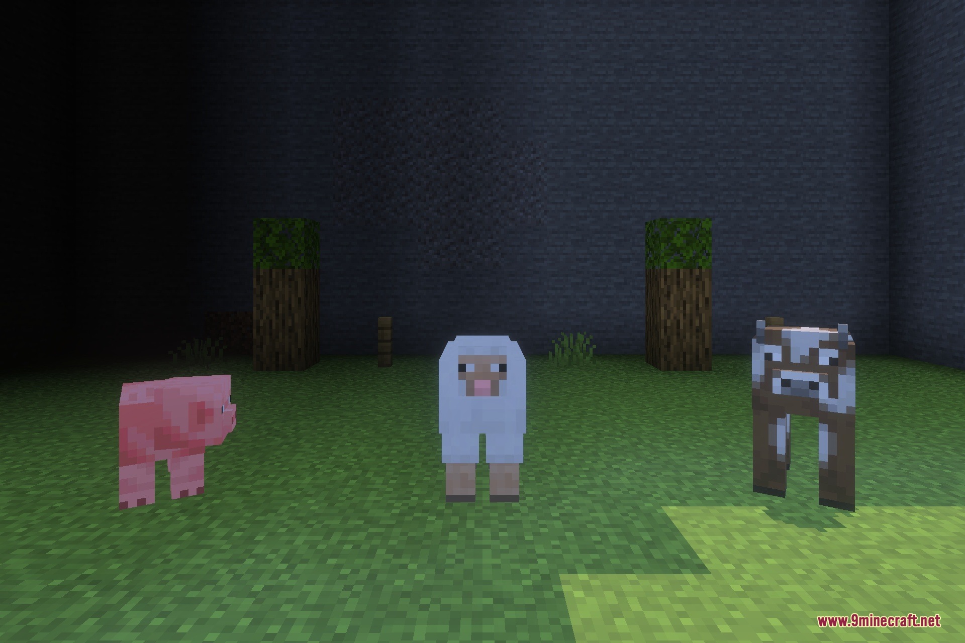 Astraliyte's Animated Textures Texture Pack Screenshot 6 Astraliyte's Animated Textures Texture Pack Screenshot 6