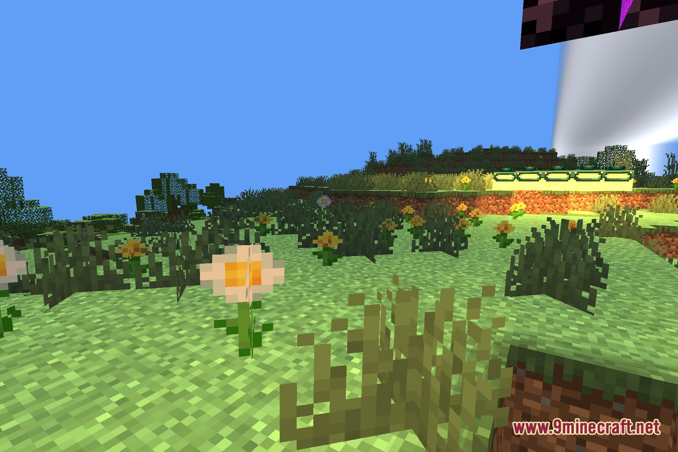 AuraBound Shaders Screenshot 5