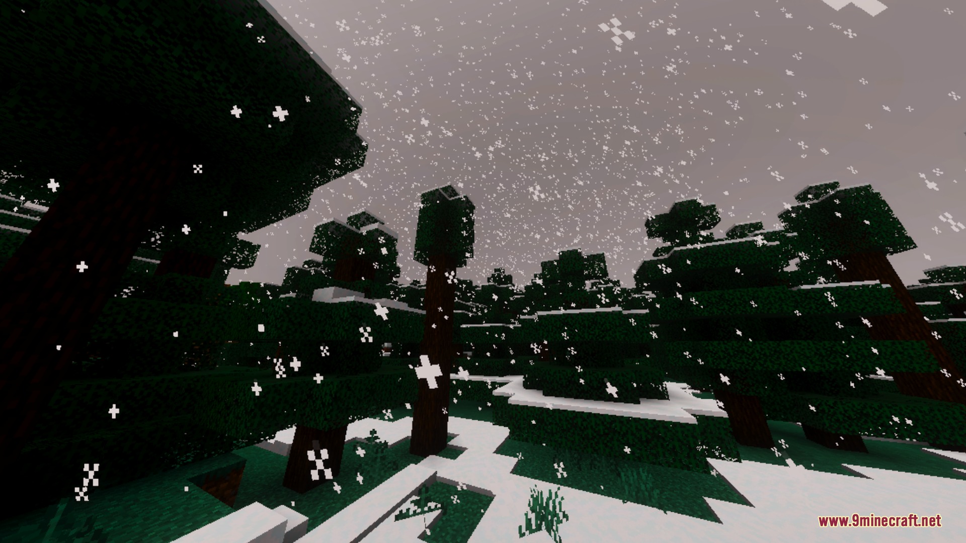 Snowflakes falling over a dark winter forest with thick layers of white snow