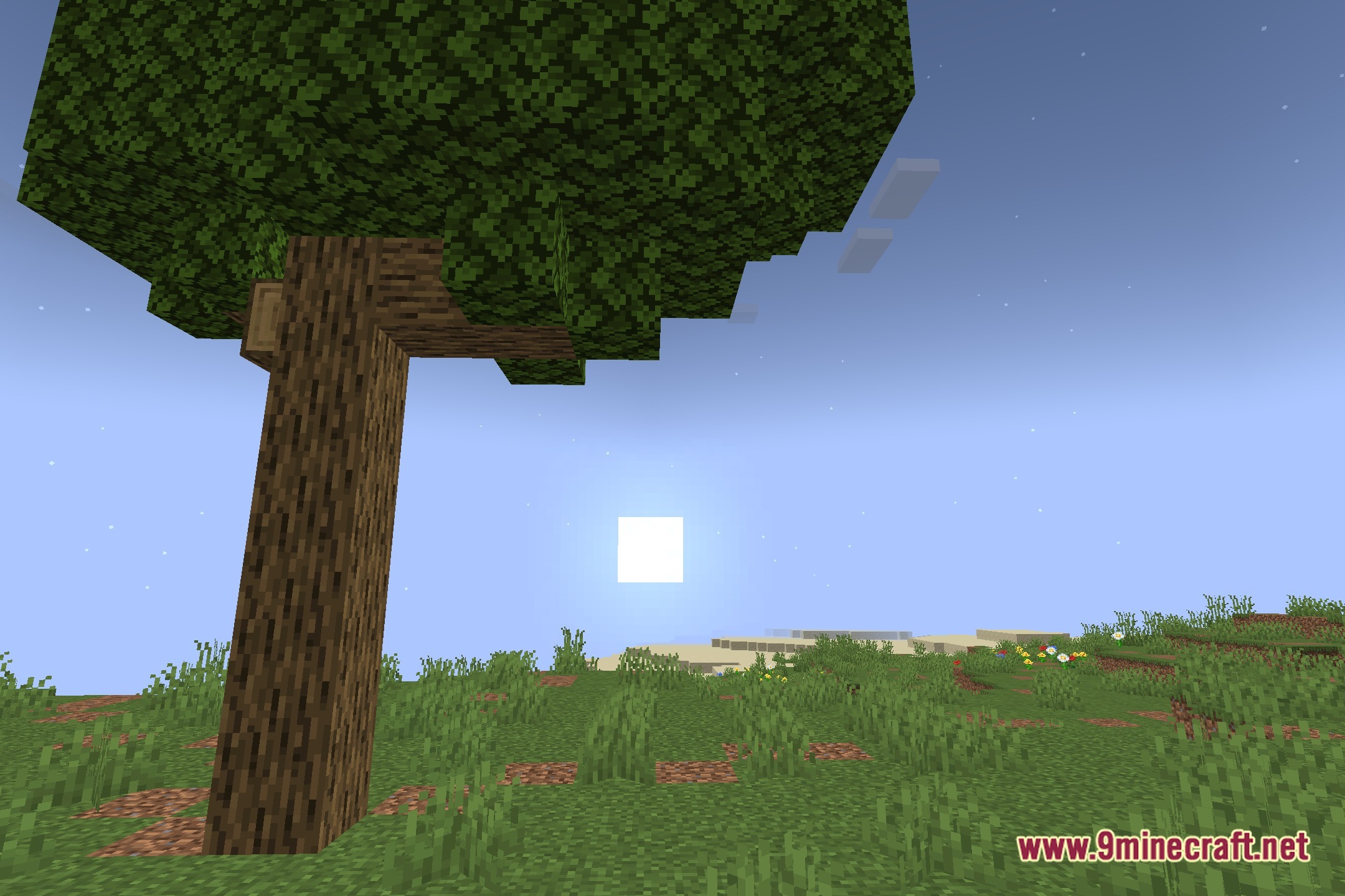 Aurora_Lite Shaders Screenshot 4