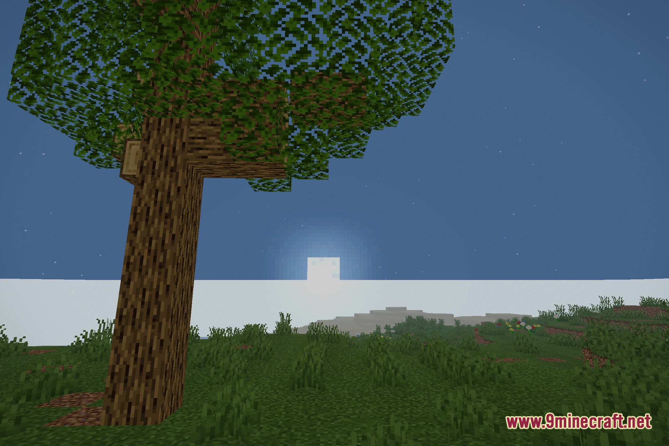 AuroraFX Ultra Lite Shaders Screenshot 4