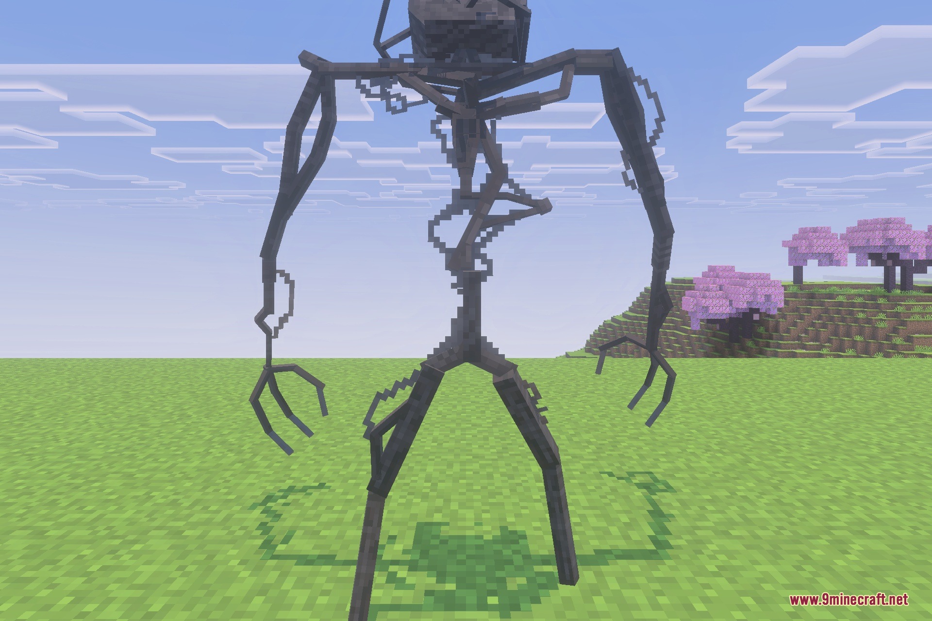 A tall spindly Bacteria entity stands in a grassy Minecraft field