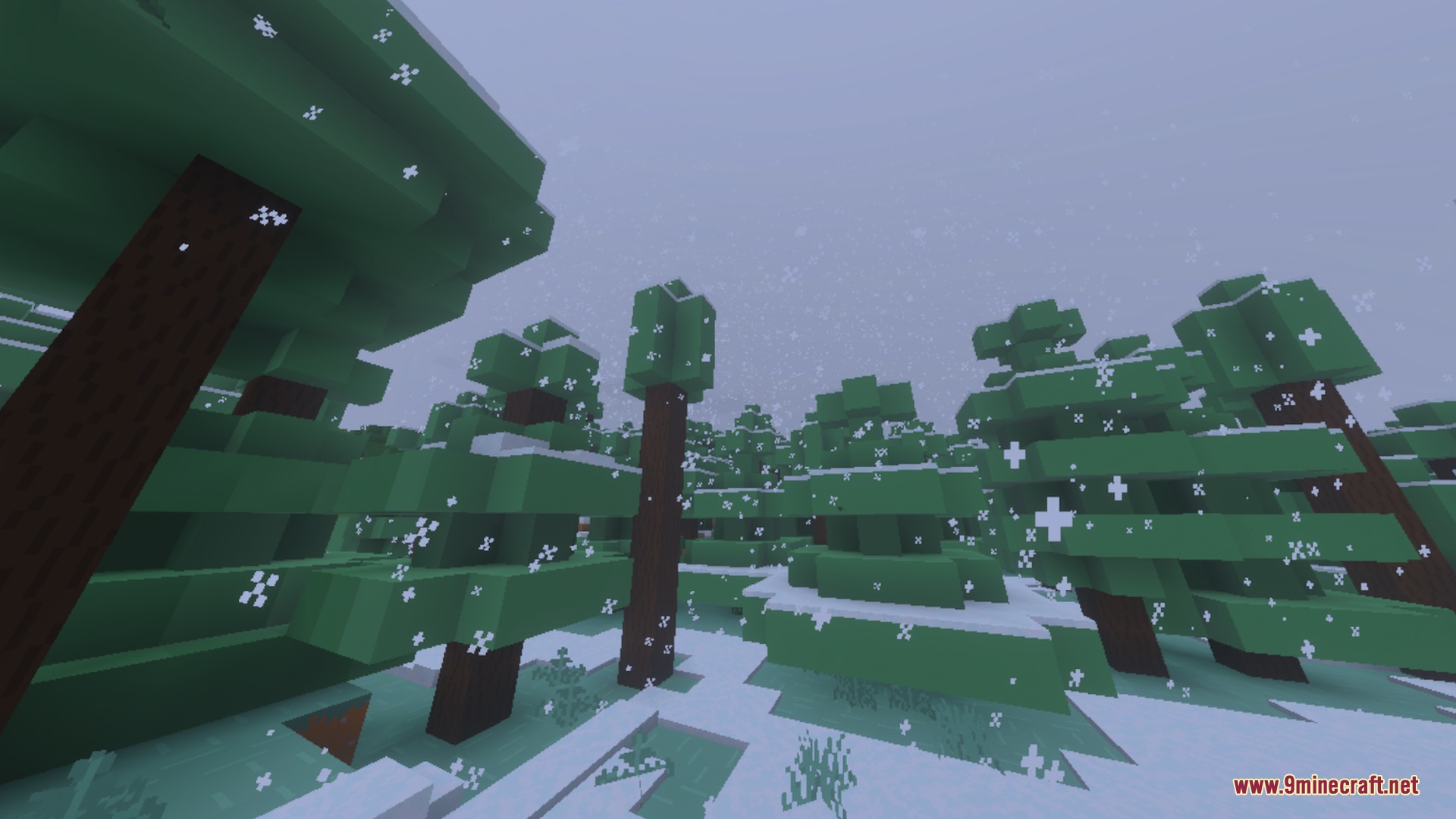 BBSPBRBP Lite Shader Screenshot 10 Snow falling over a dense pine forest with clean and smooth textures