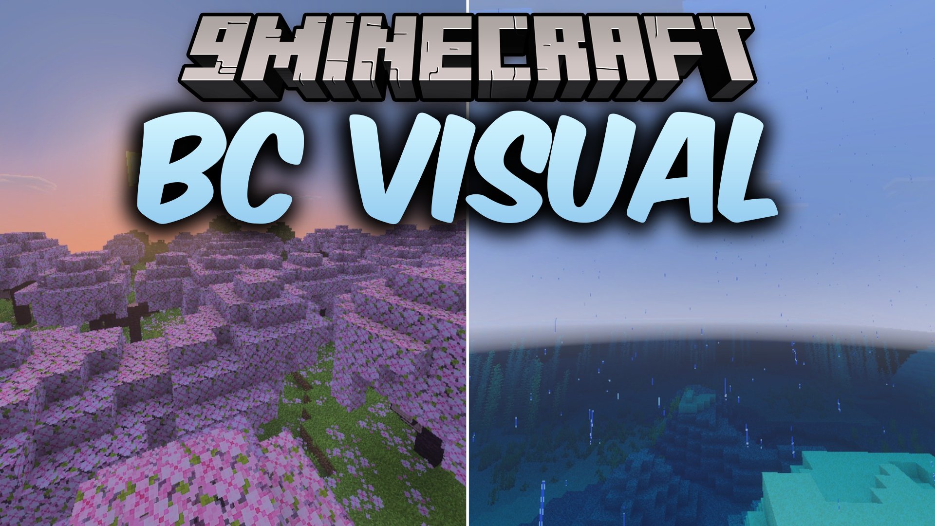BC Visual Shader