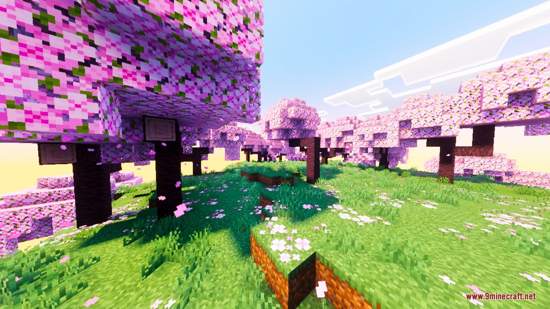 BSLD Shaders Screenshot 1 Cinematic cherry blossom biome with pink trees and lush green grass under sunlight