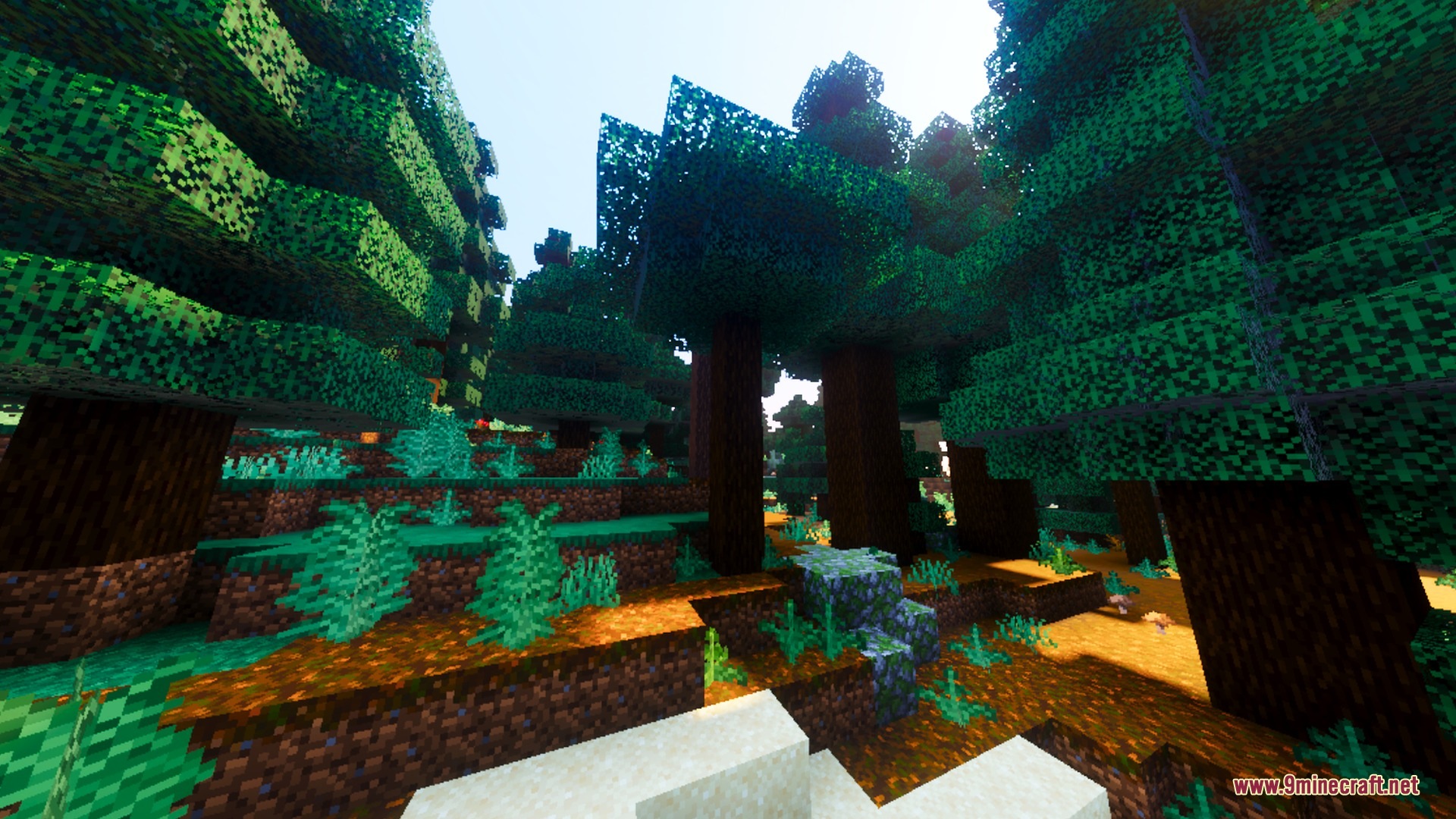BSLD Shaders Screenshot 3 Old growth pine forest with mossy cobblestone and lush green ferns
