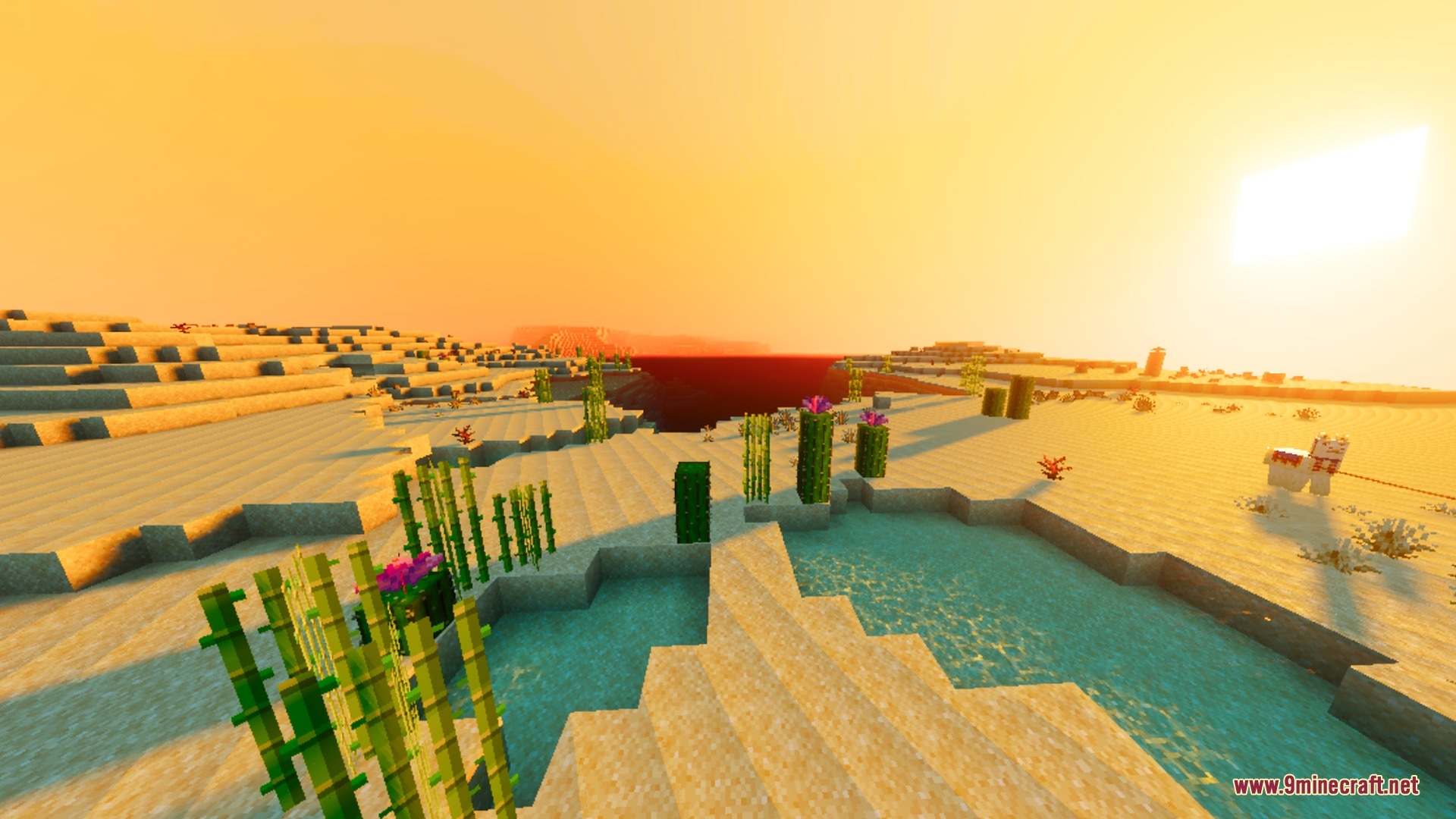 BSLD Shaders Screenshot 4 Cinematic desert sunset featuring realistic water reflections and vibrant orange sky