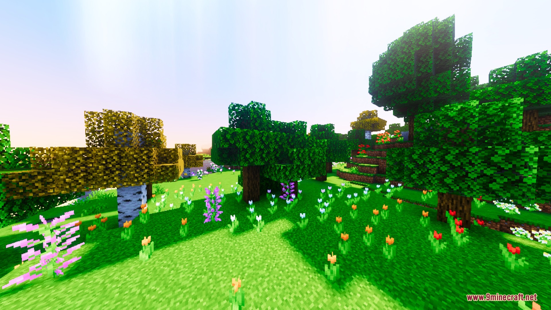 BSLD Shaders Screenshot 5 Colorful flowers bloom in a lush green forest clearing under bright cinematic lighting