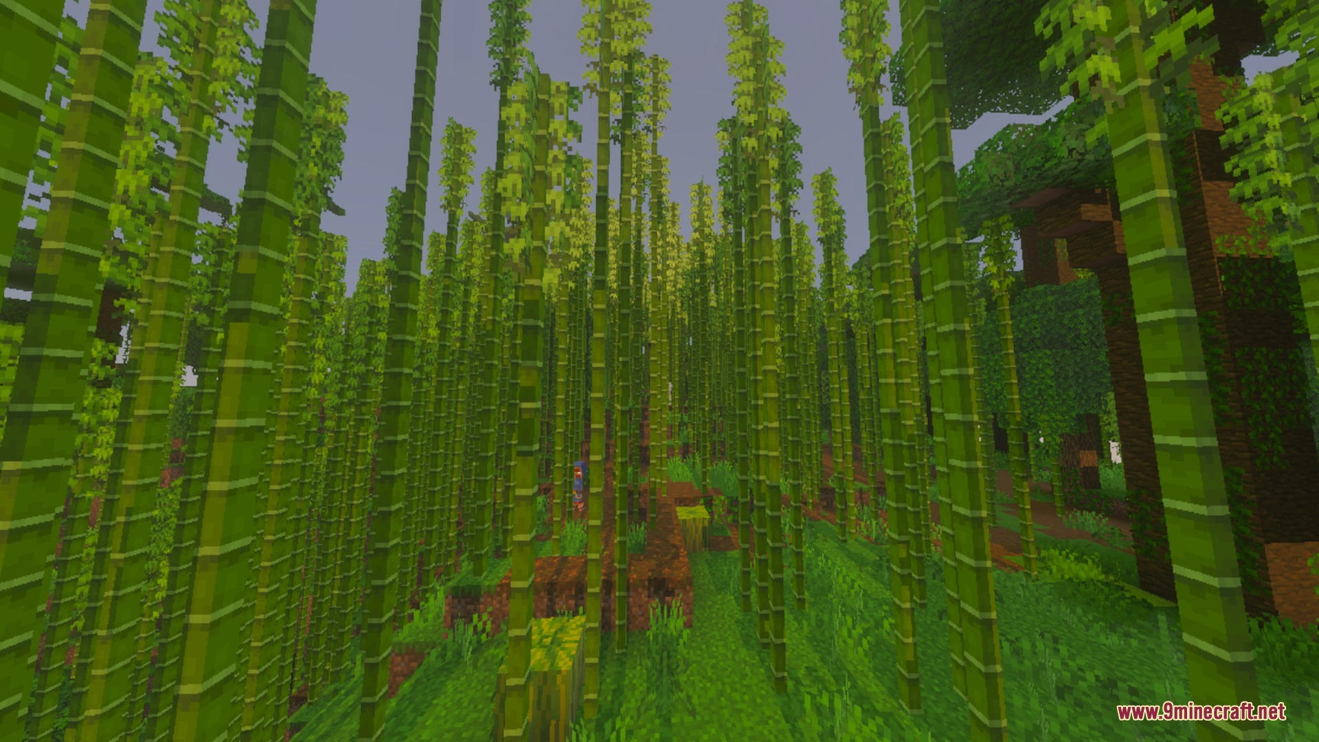 Baku Abandoned City Shader Screenshot 10 Baku Abandoned City Shader Screenshot 10