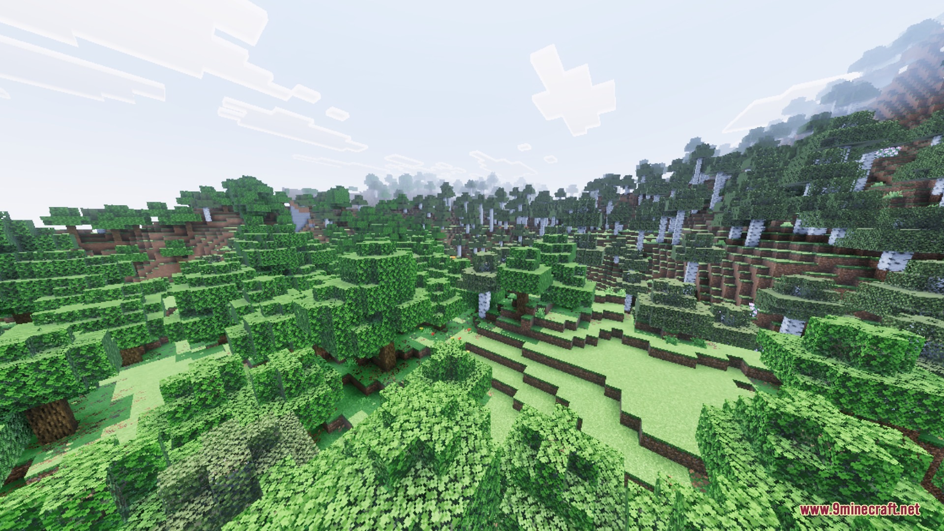 Lush green forest with oak and birch trees on a hilly landscape