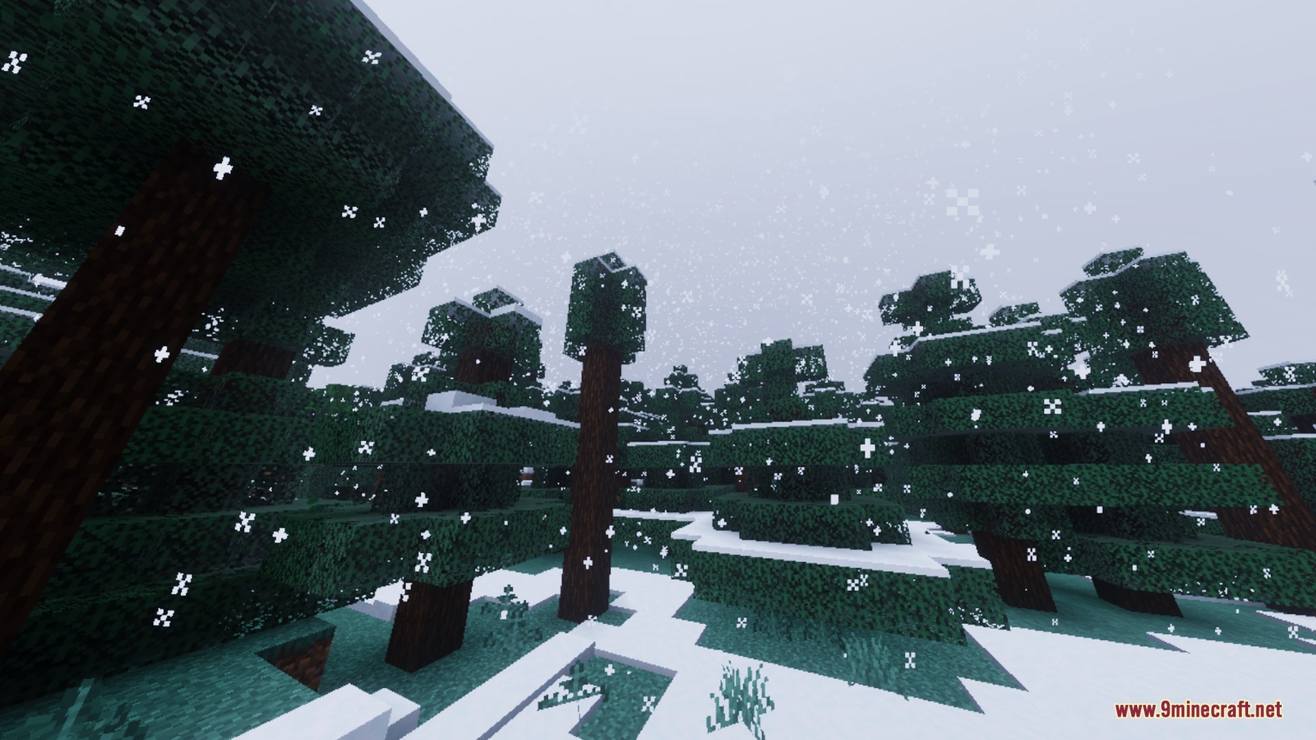 Snowflakes falling in a dense spruce forest with realistic atmospheric fog and lighting