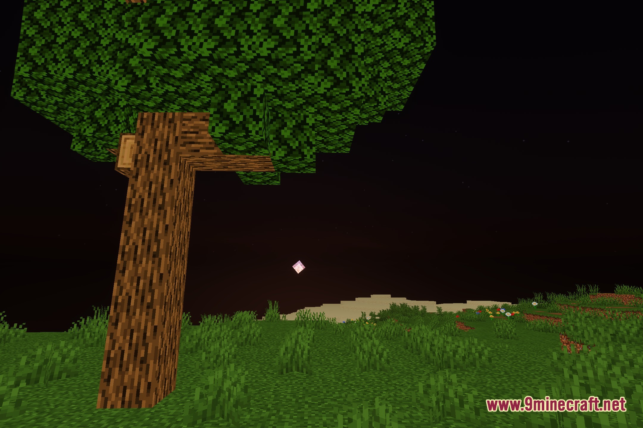 Banana Shaders Screenshot 4