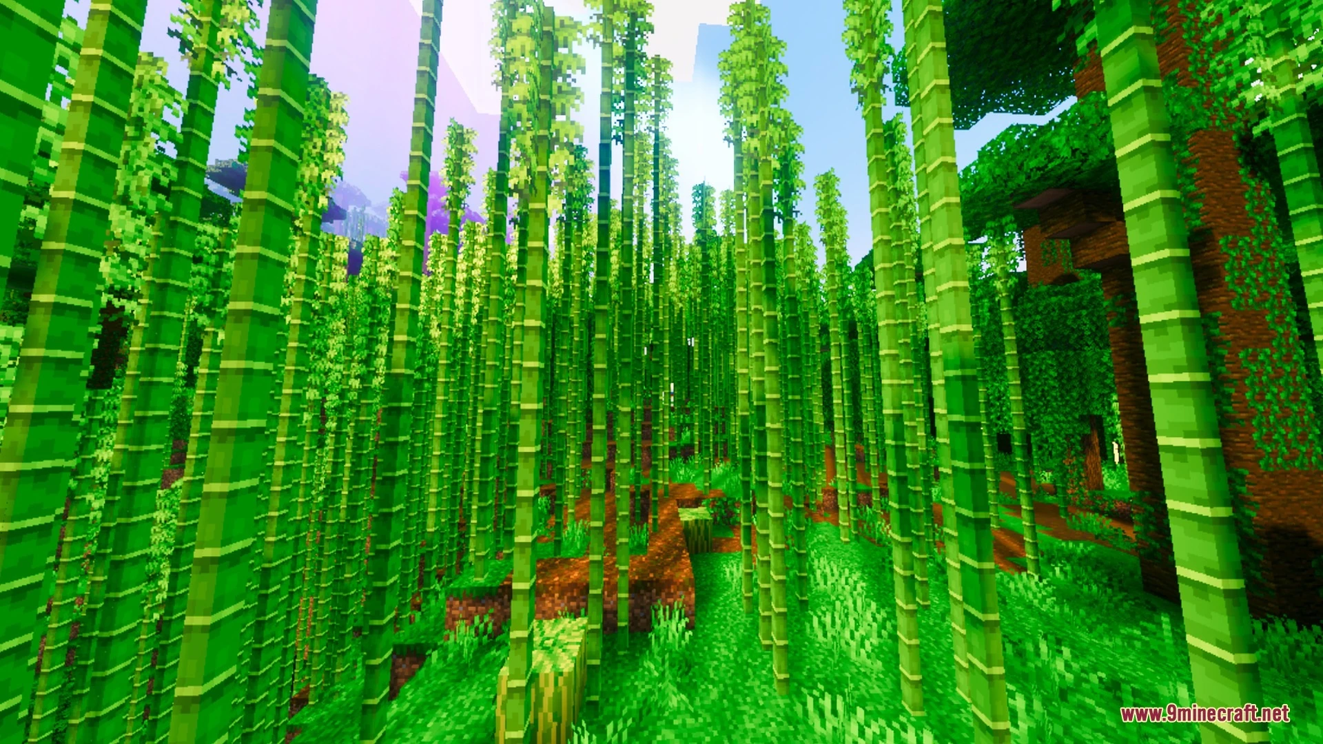 Basic Visuals Shader (26.x, 1.21) – Vibrant Skies and Night Auroras — screenshot 8
