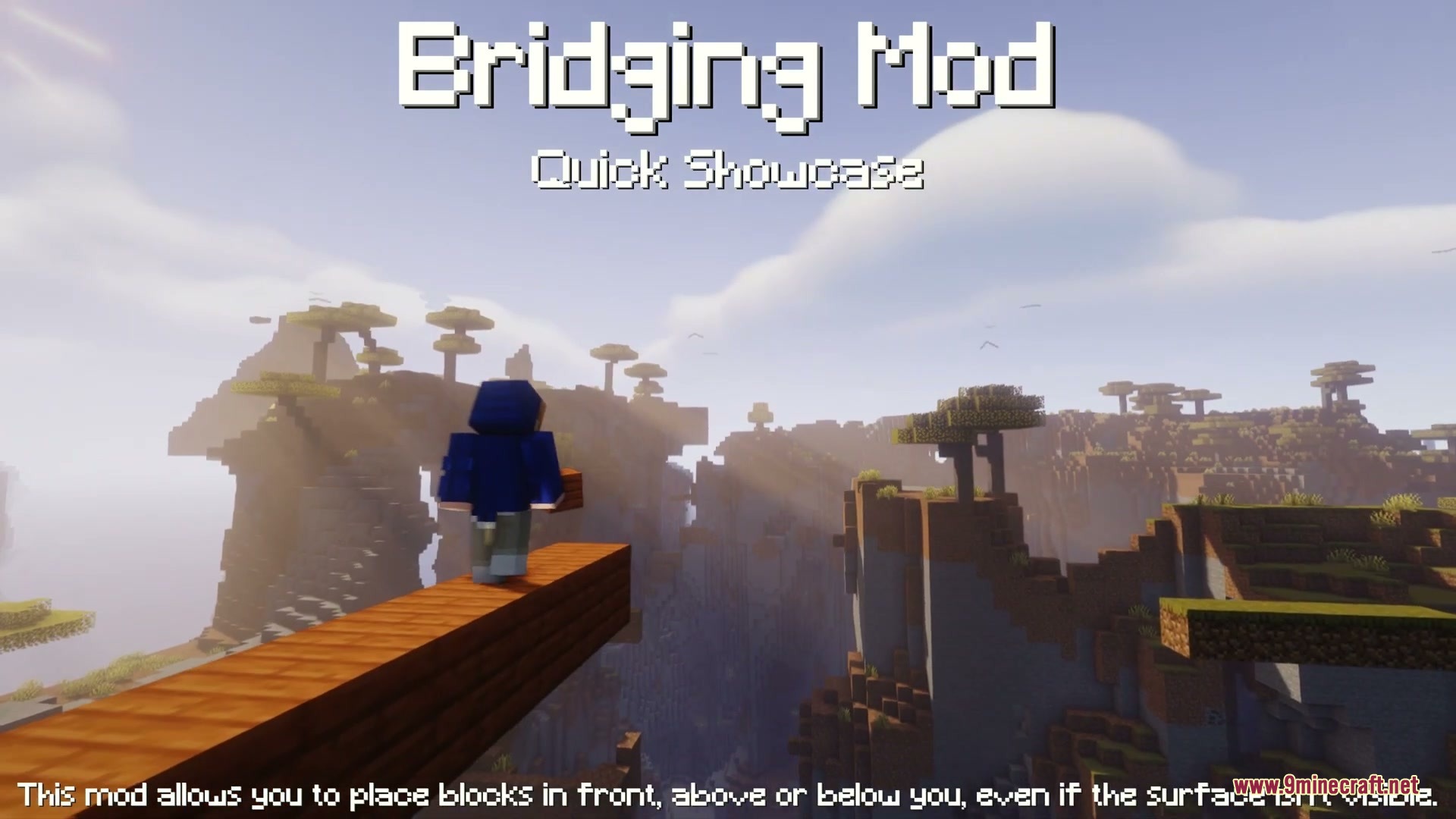 Bedrock Bridging Addon Screenshot 12