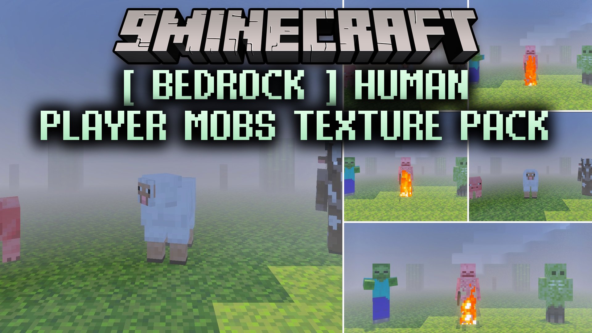 Bedrock Human Player Mobs Texture Pack