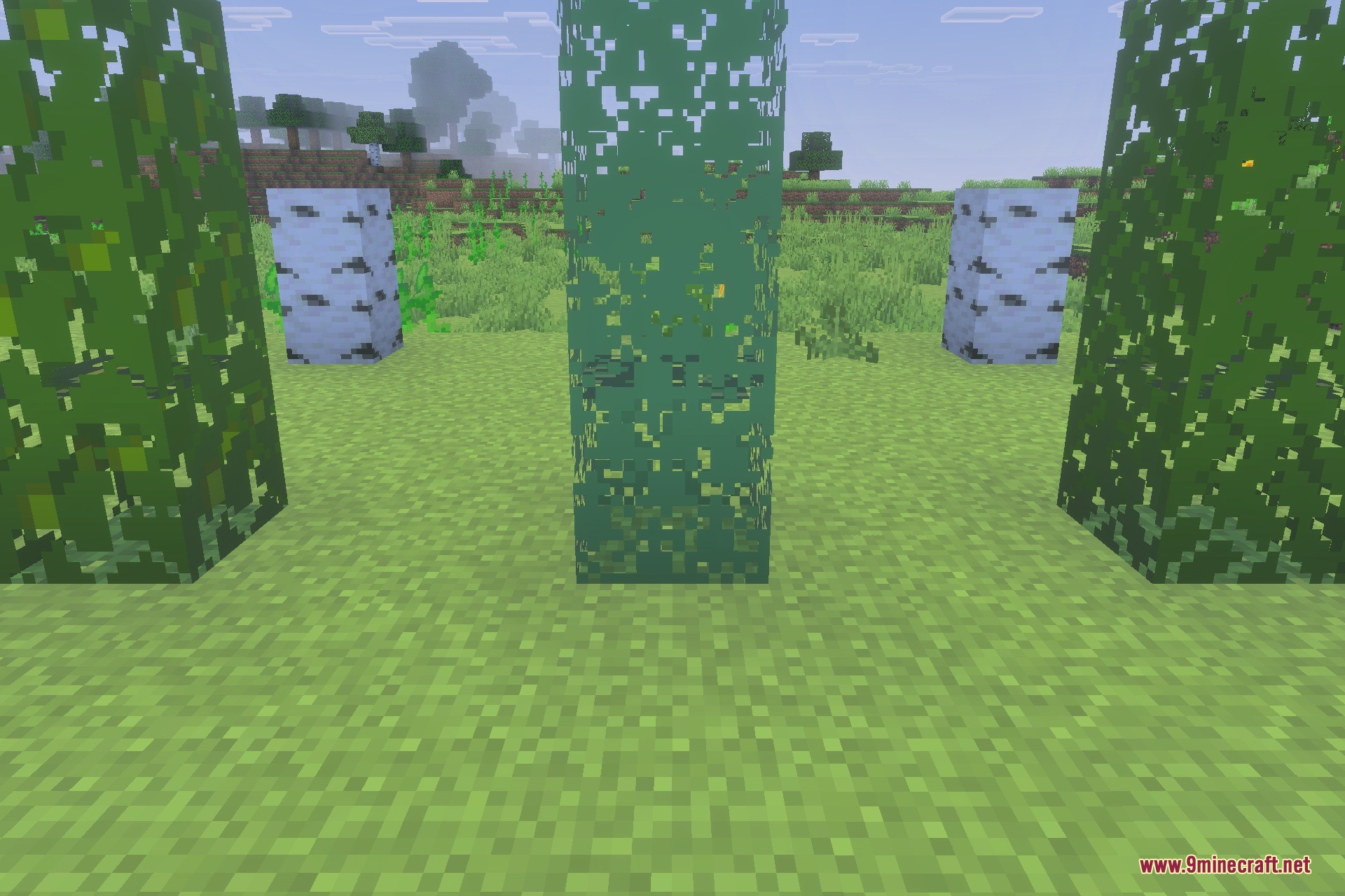 Better Bare Bones Leaves Texture Pack Screenshot 1