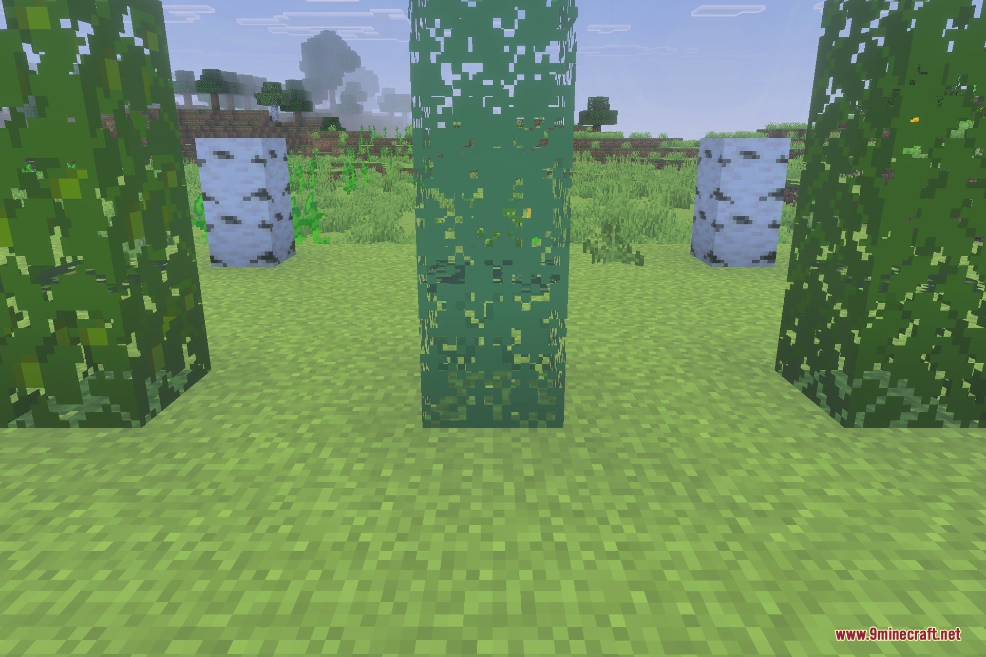Better Bare Bones Leaves Texture Pack Screenshot 2