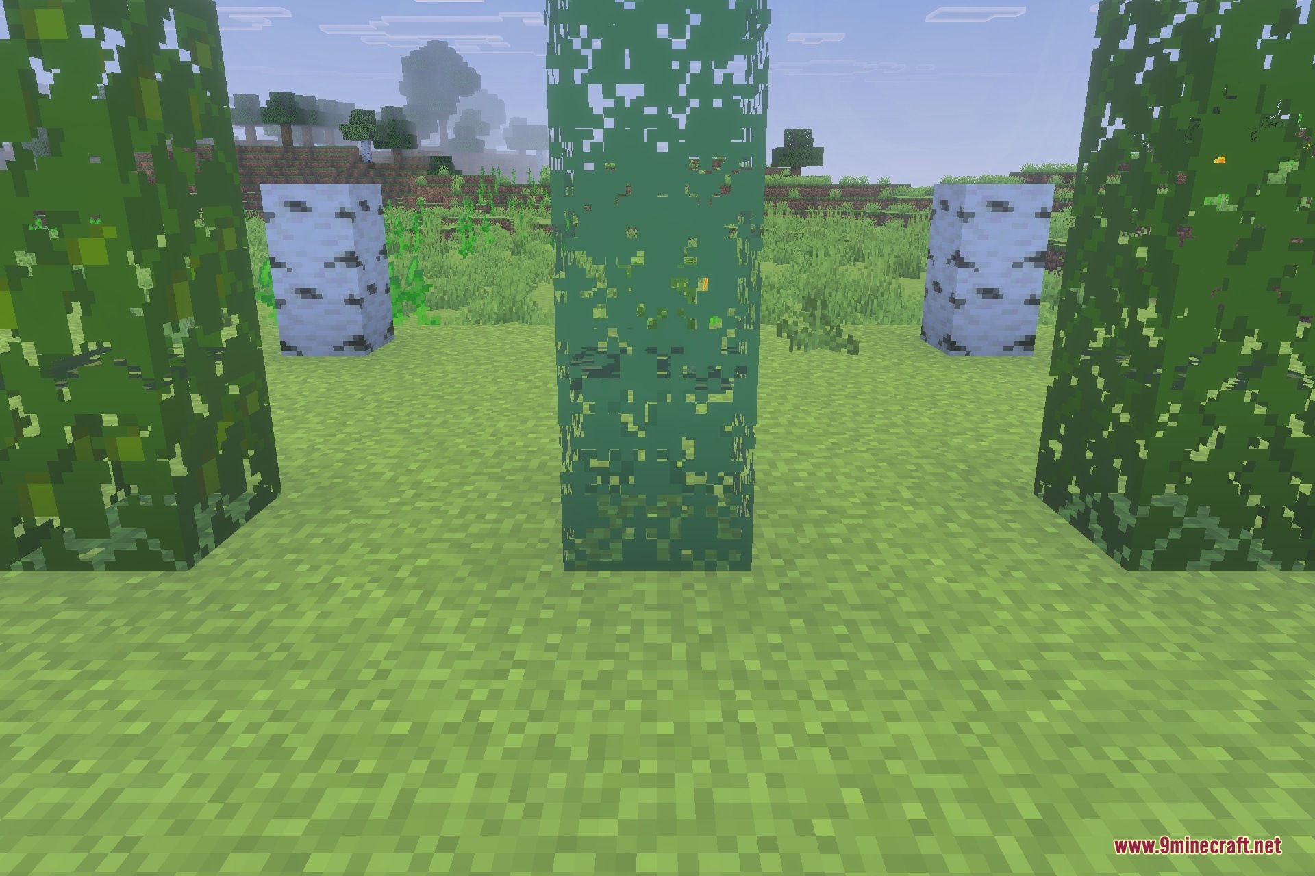 Better Bare Bones Leaves Texture Pack Screenshot 4