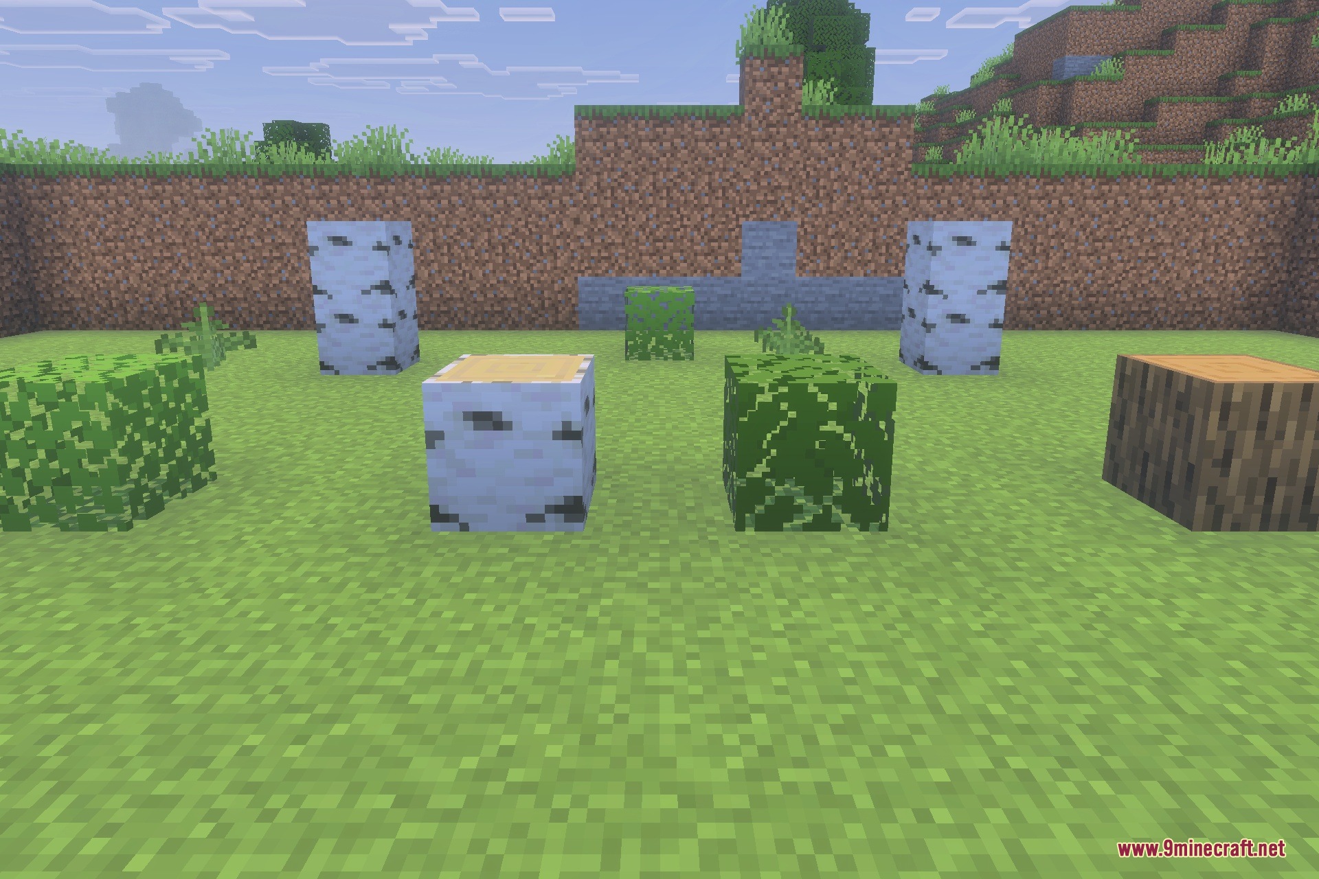 Better Bare Bones Leaves Texture Pack Screenshot 5