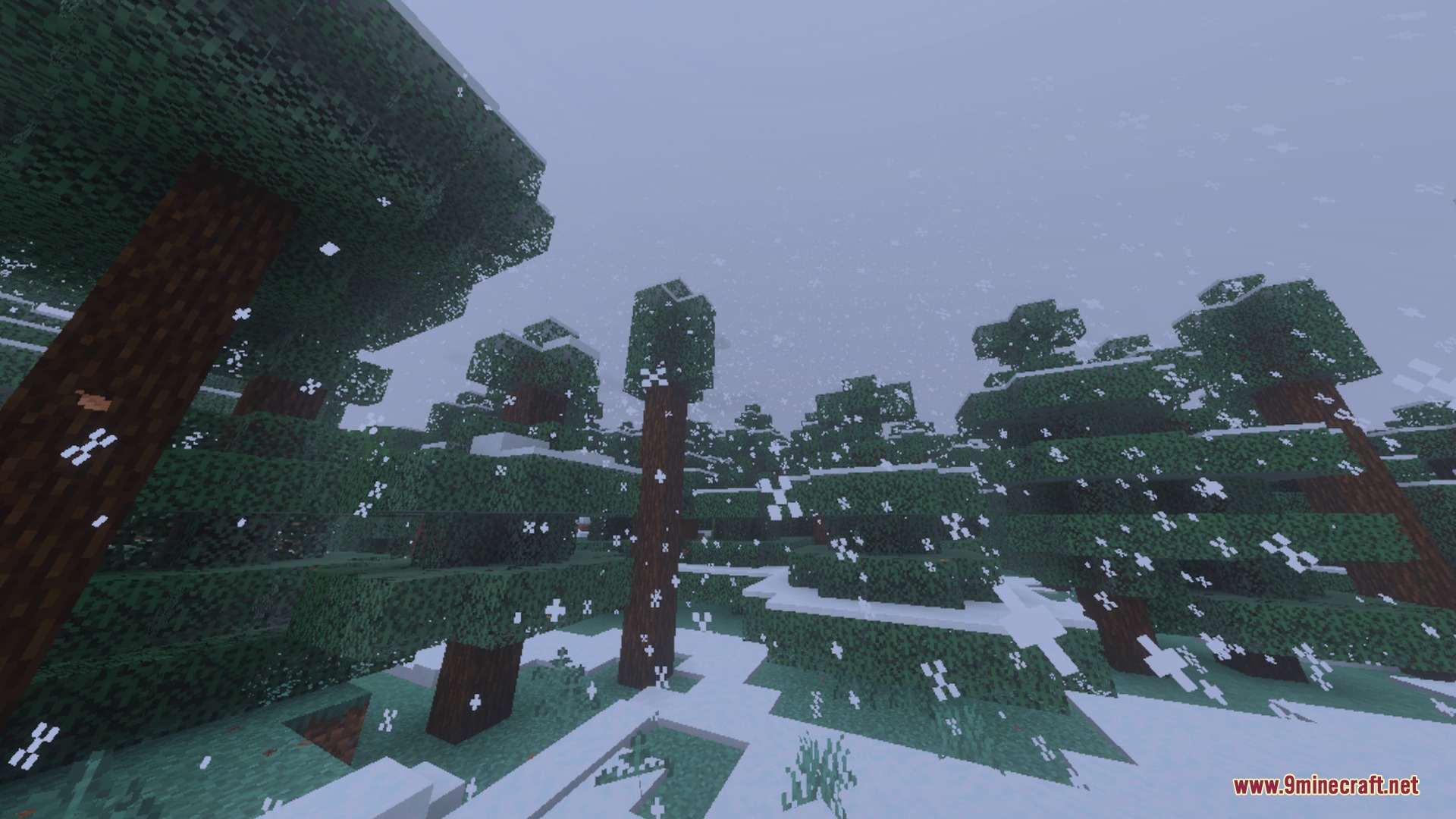 Snowflakes and leaves falling through the trees in a snowy spruce biome