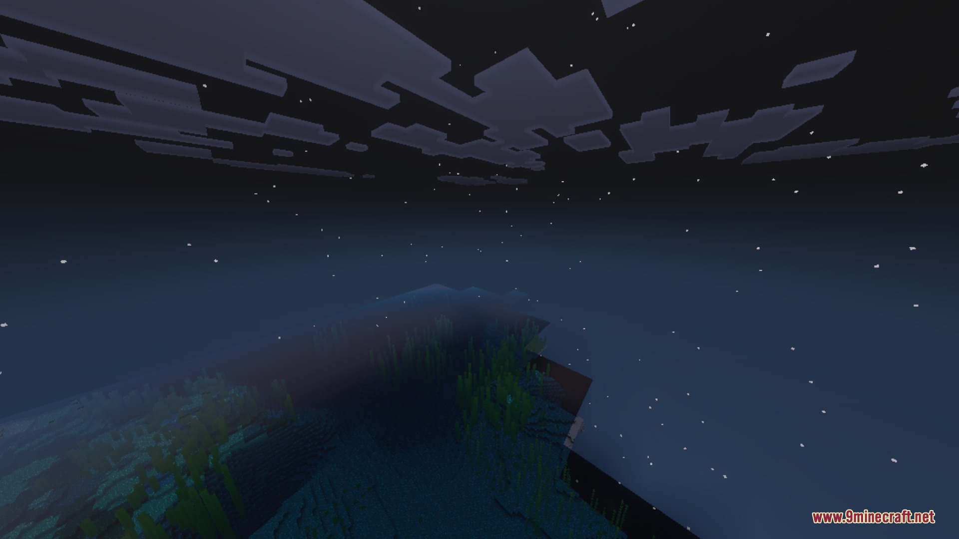 Fallen leaves floating on dark water under a starry night sky