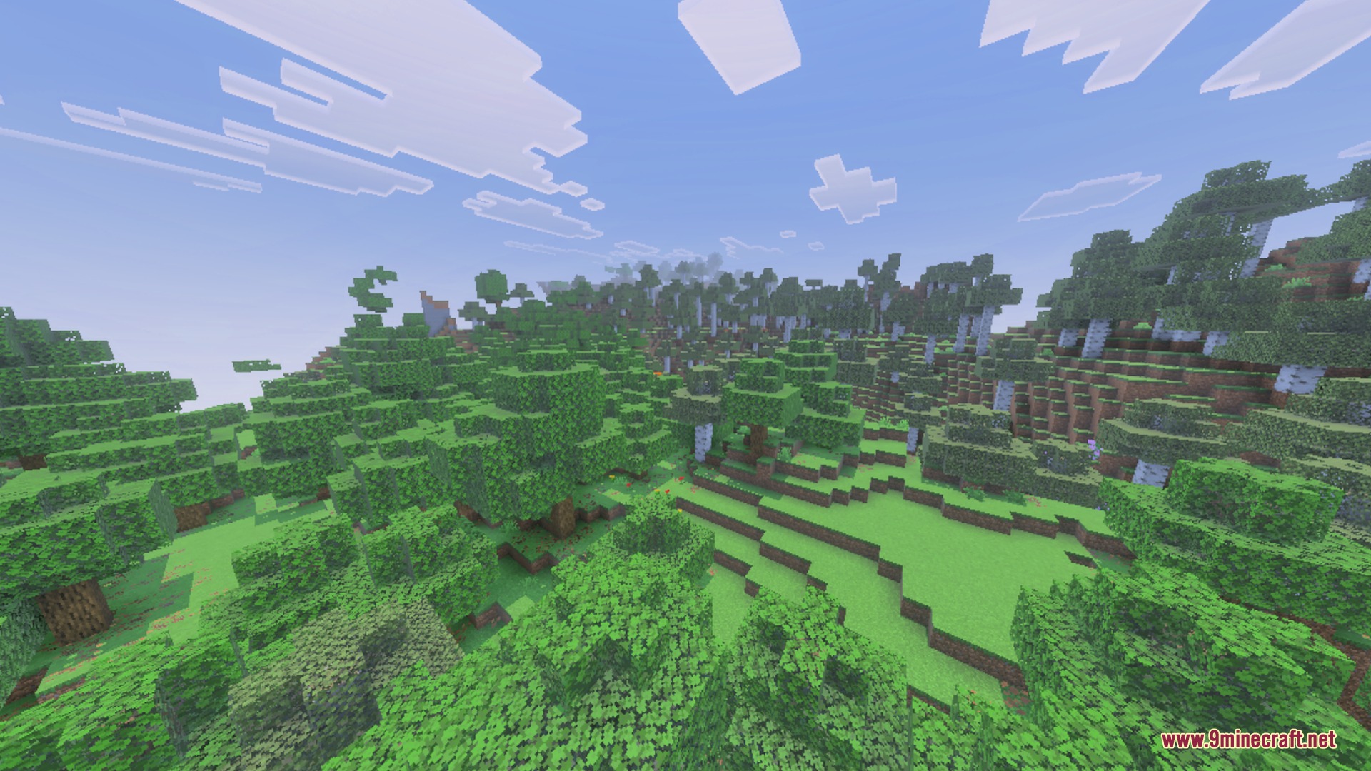 Green leaves falling from trees and settling on the grassy forest ground