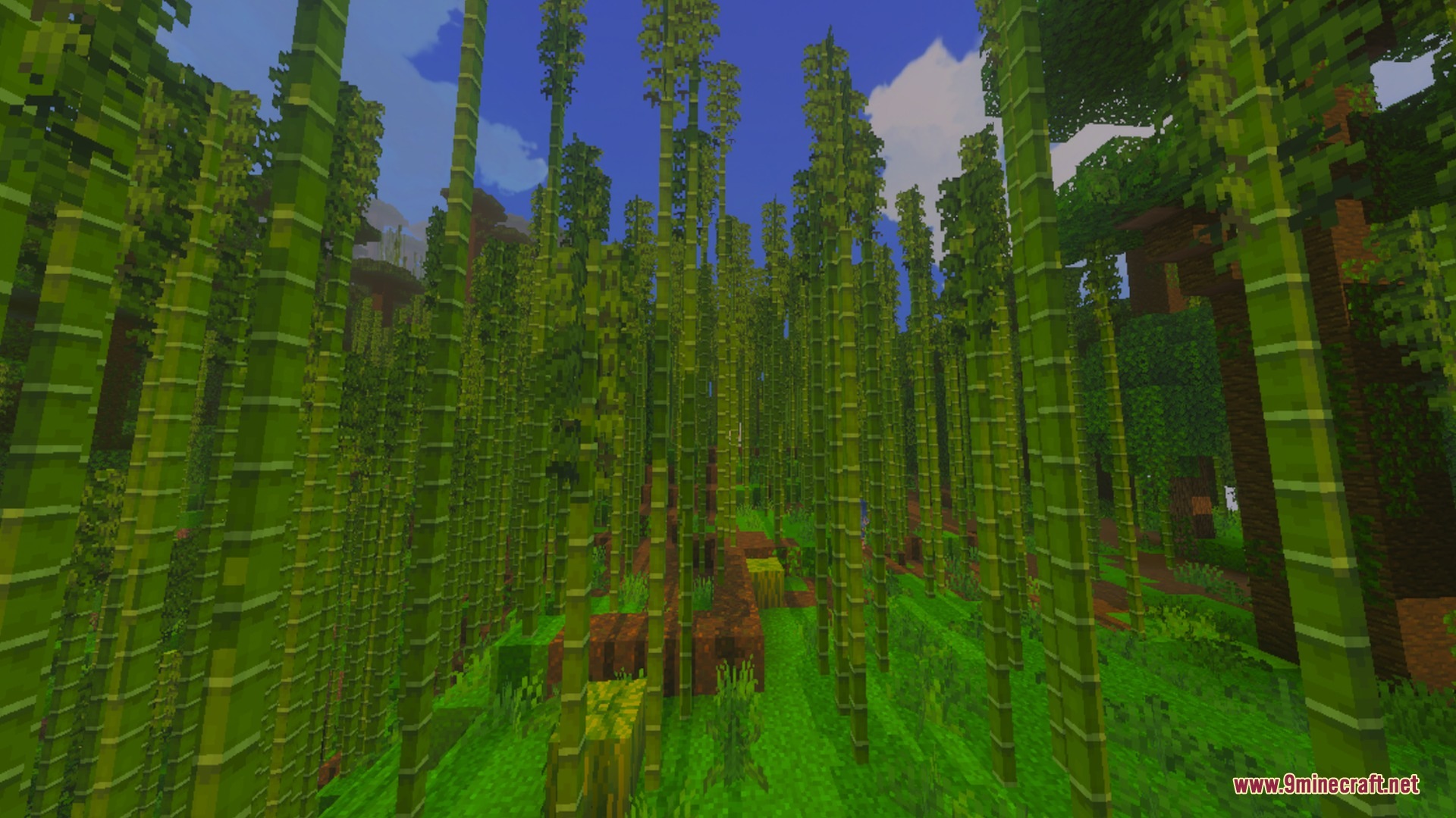 Better Graphics Shader Screenshot 9