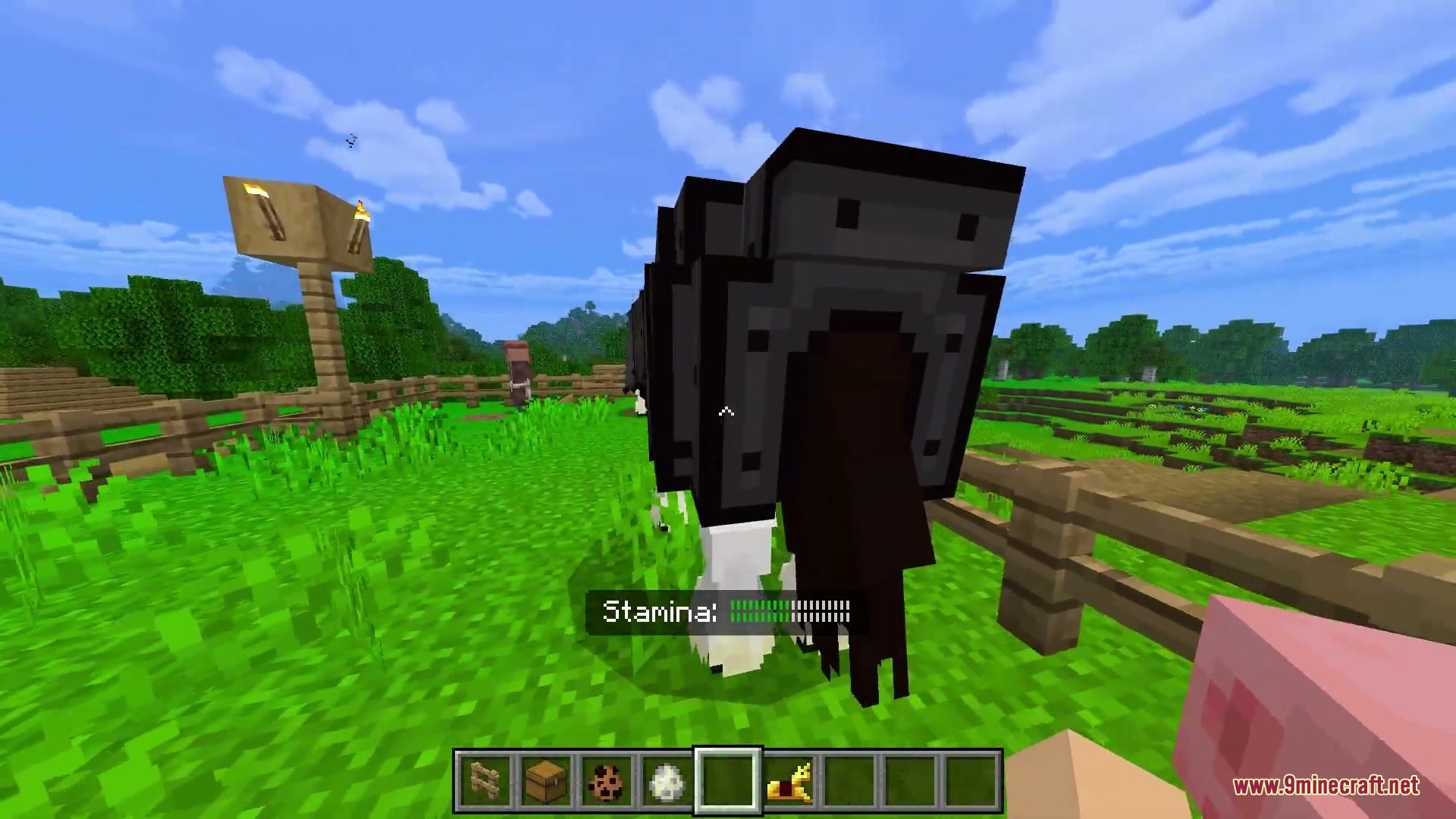 Beyond Vanilla Equestria Addon Screenshot 3