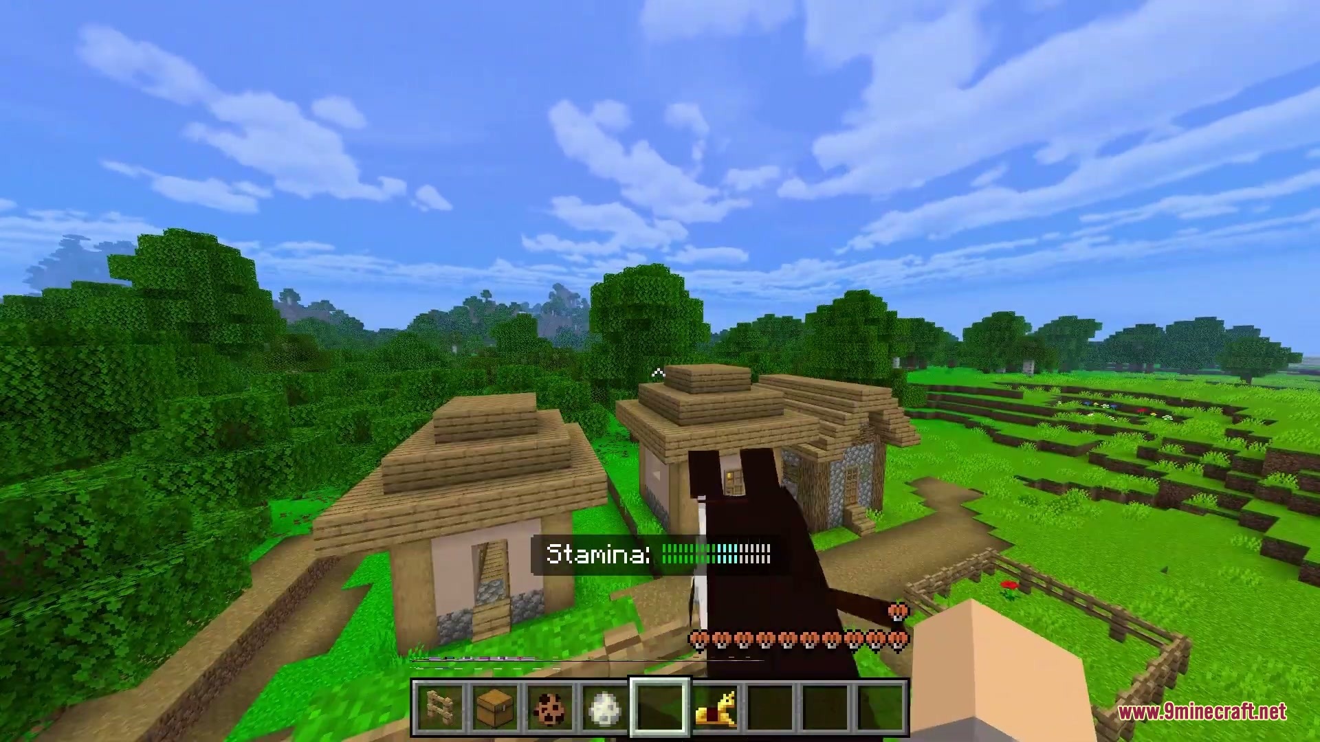 Beyond Vanilla Equestria Addon Screenshot 5