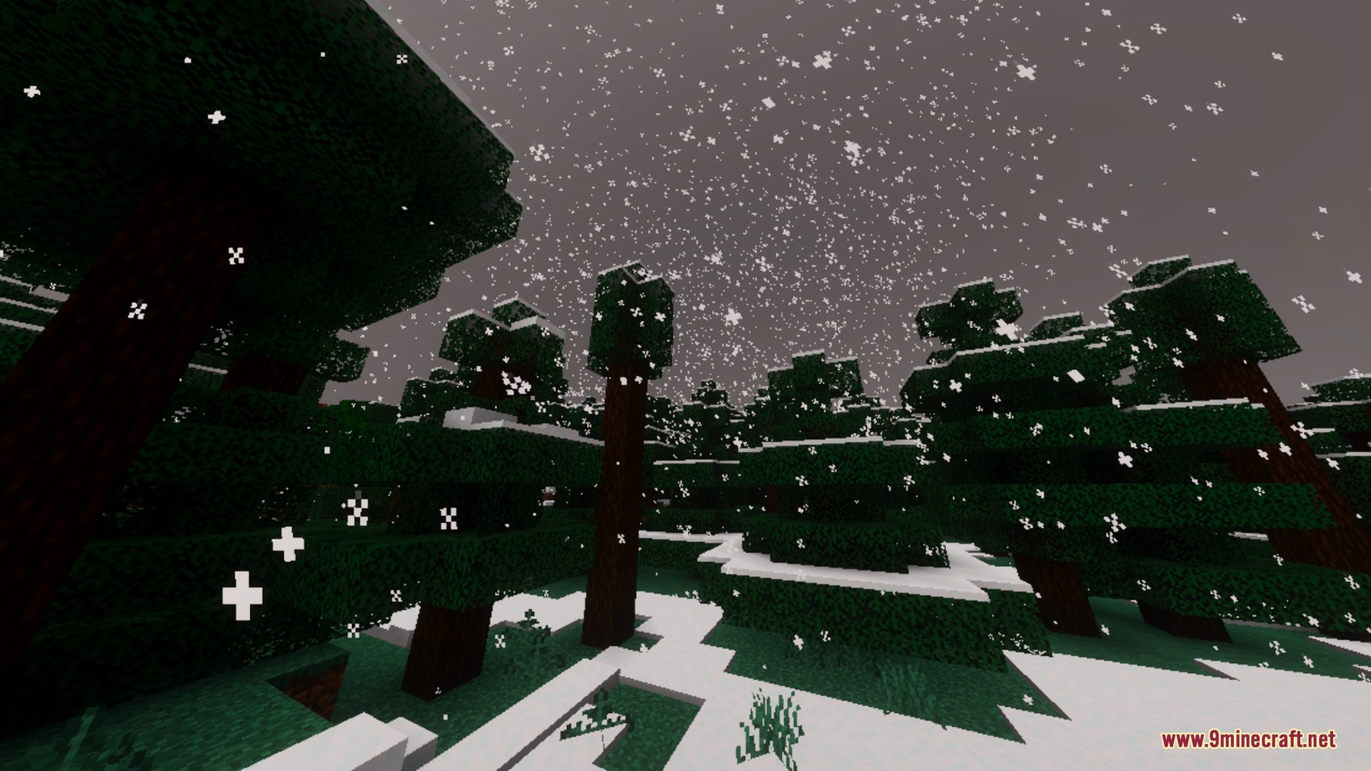 Heavy snow falling over a dark spruce forest with snow covered ground in Minecraft